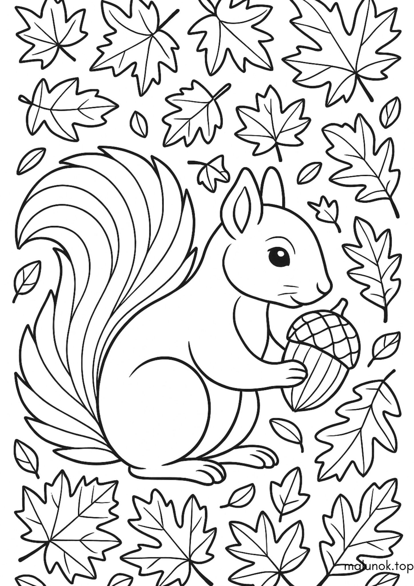 Раскраска Білочка з осінніми листочками