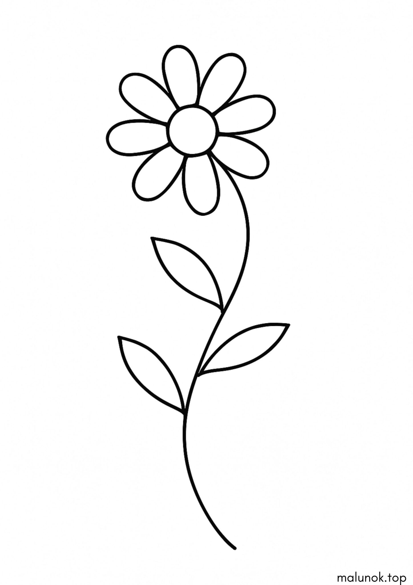 Раскраска Квіточка