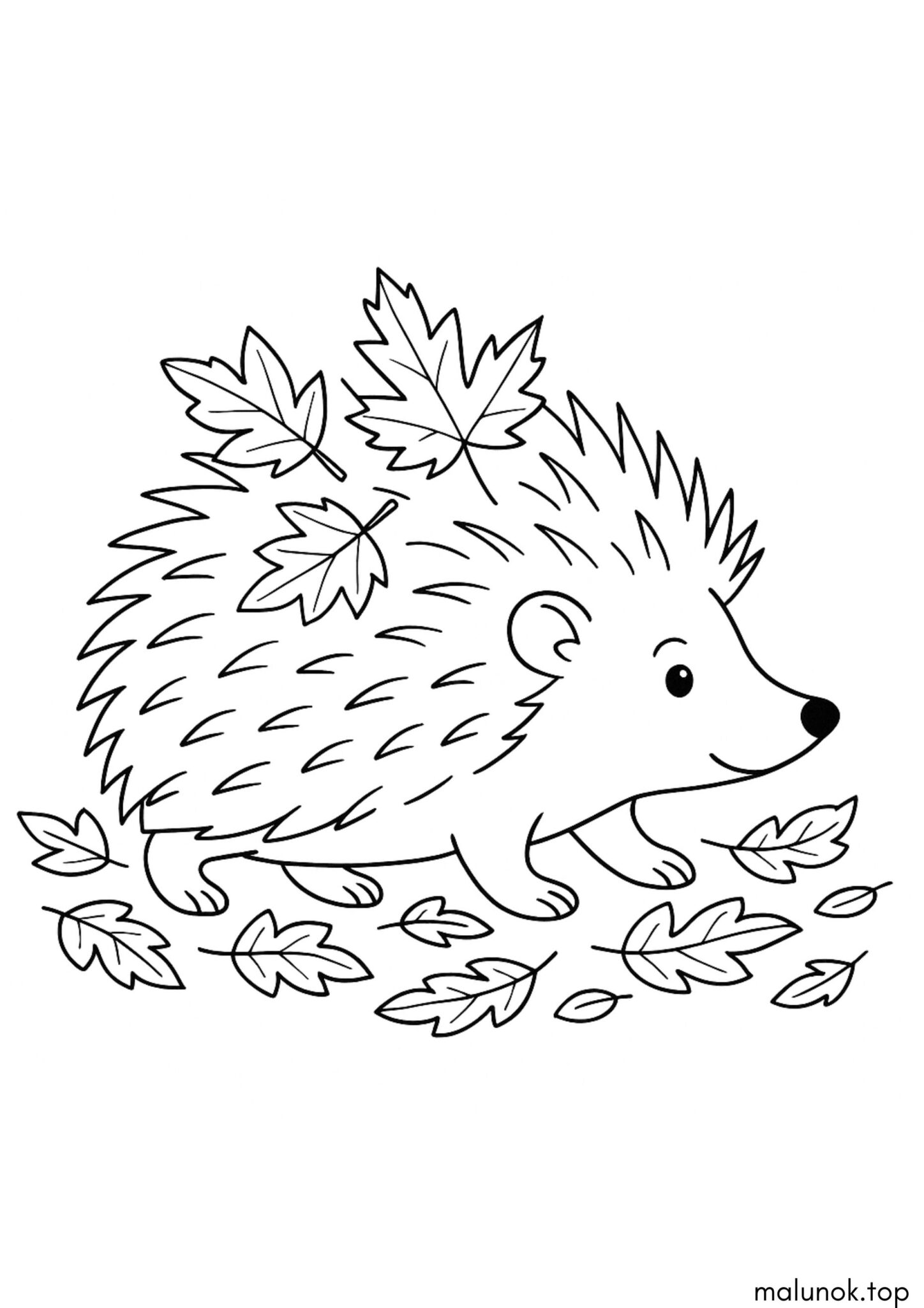 Раскраска Їжачок з осінніми листочками