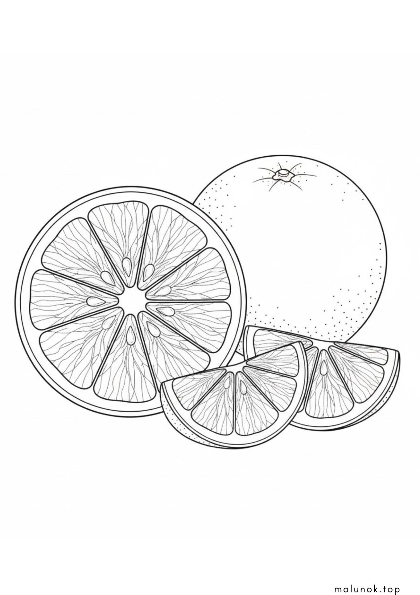 Раскраска Фрукт апельсин у розрізі