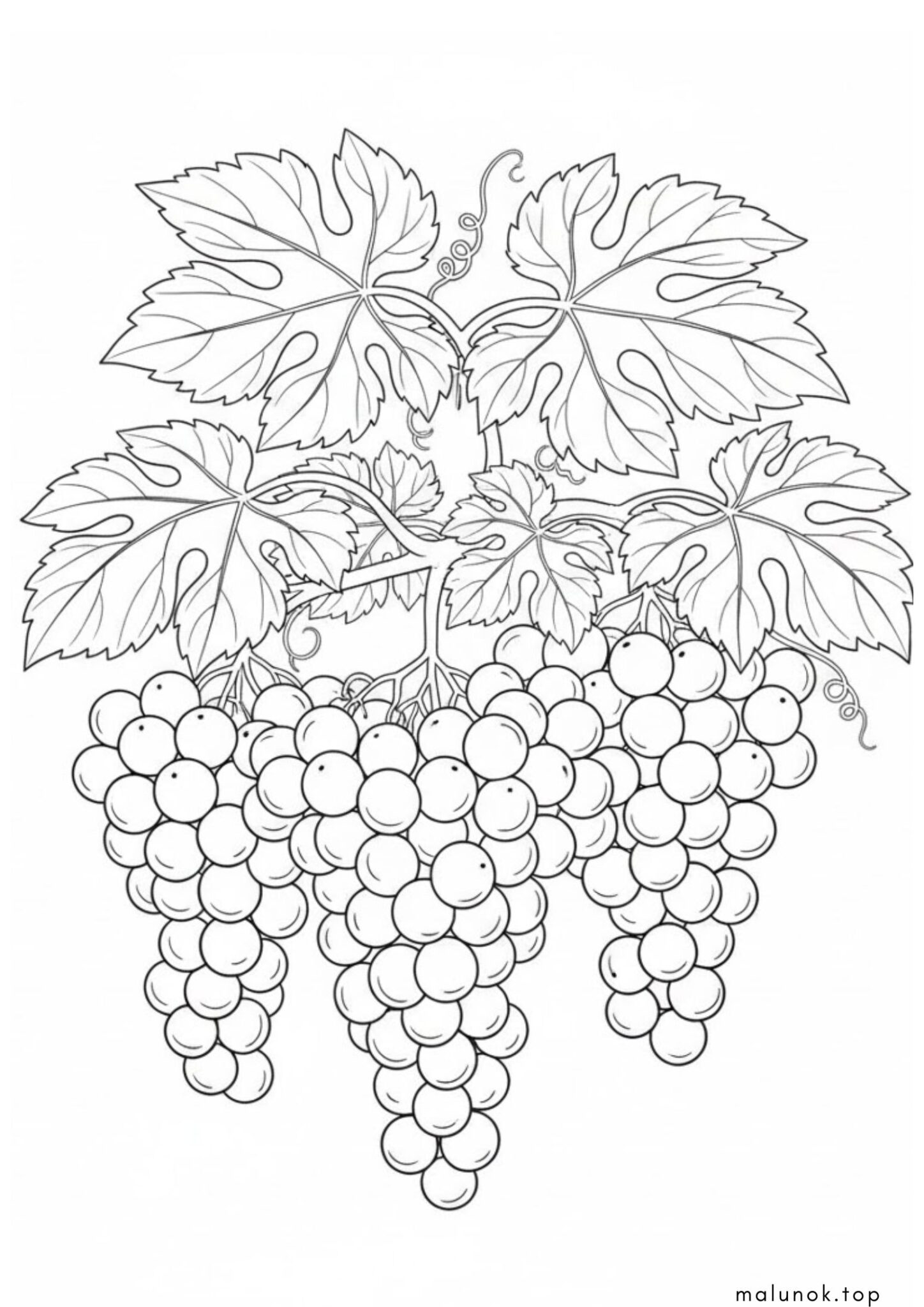 Раскраска Грони винограду