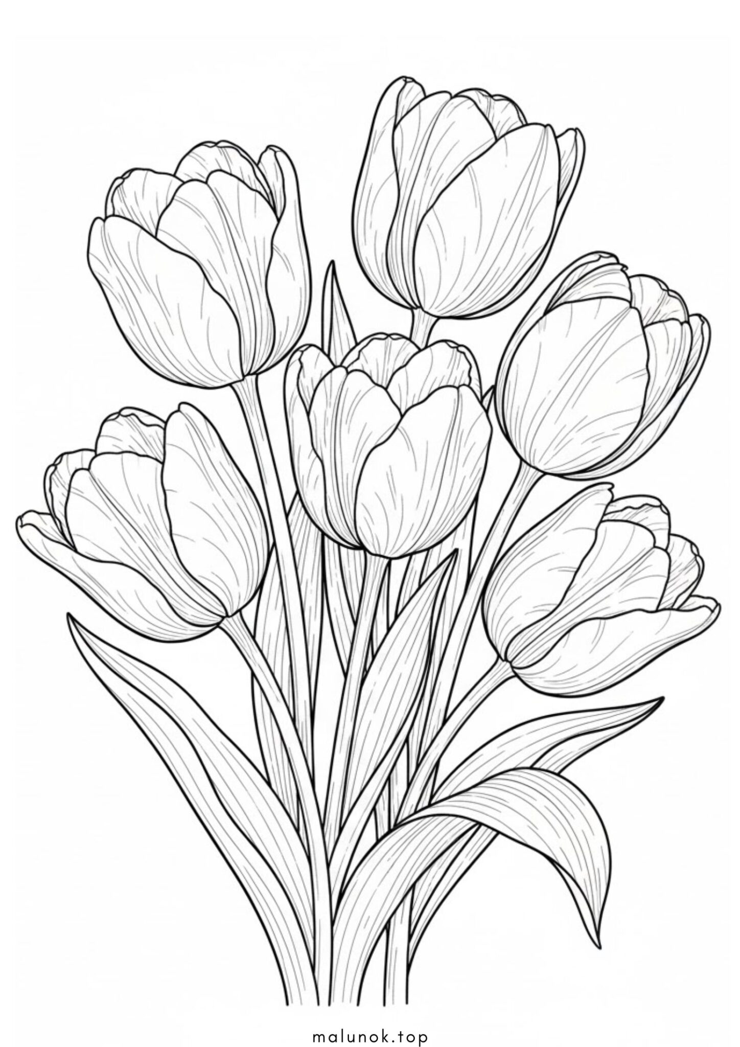 Раскраска 5 тюльпанів – квіти