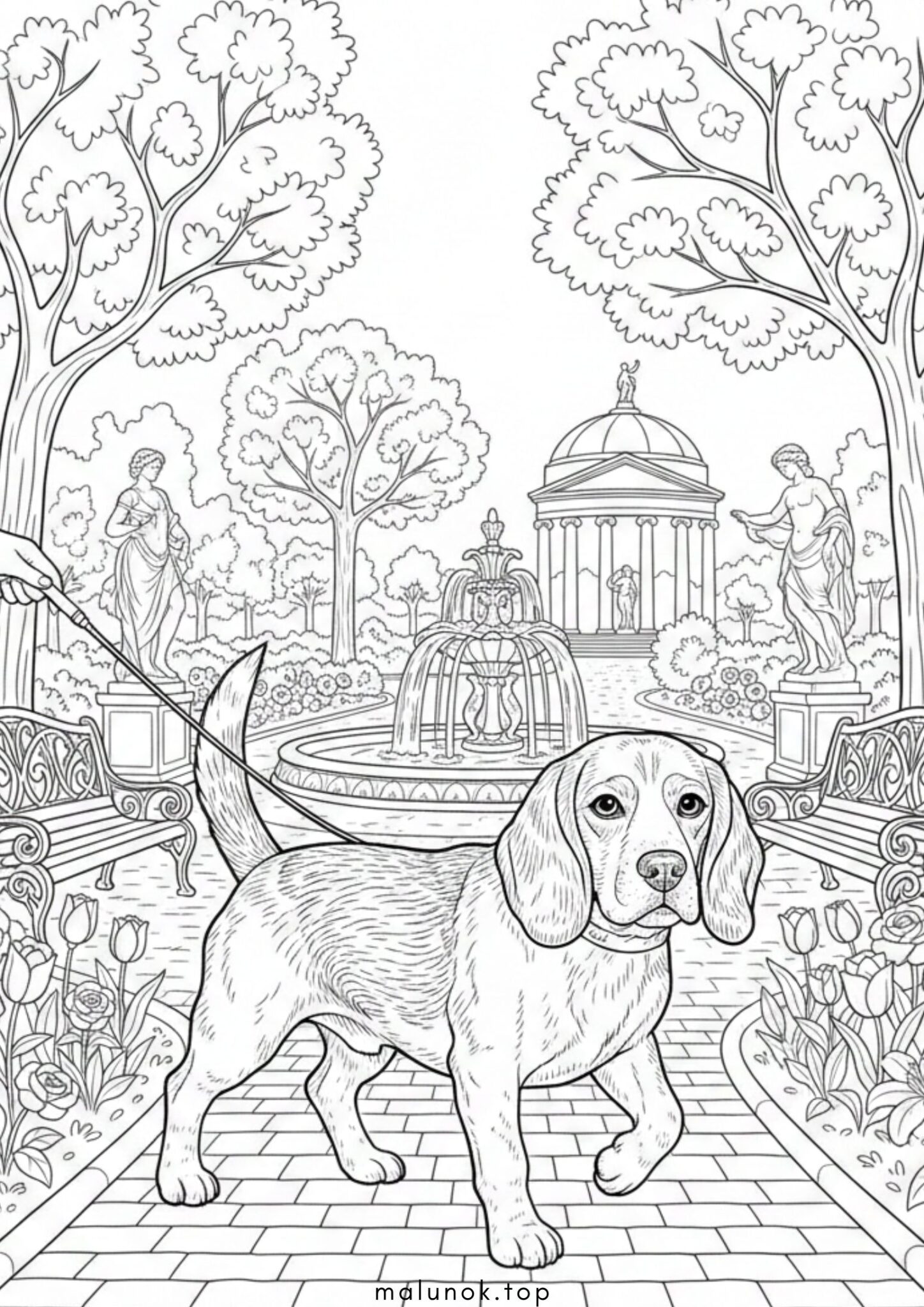 Раскраска Собака бігль у парку