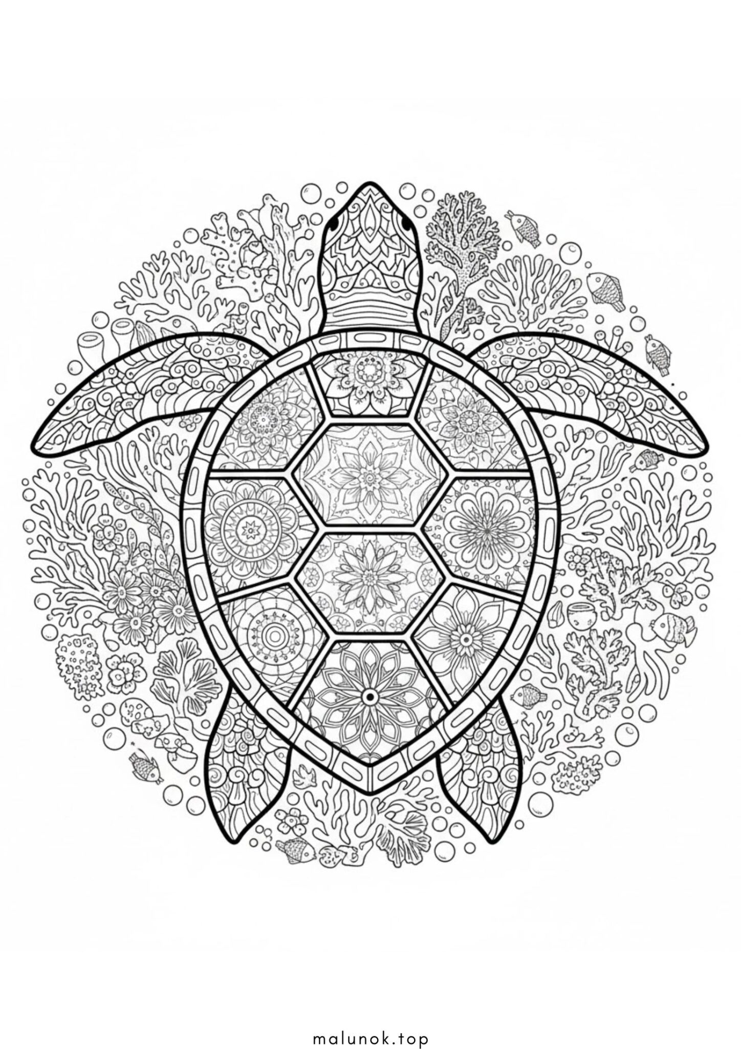 Раскраска Черепаха антистрес