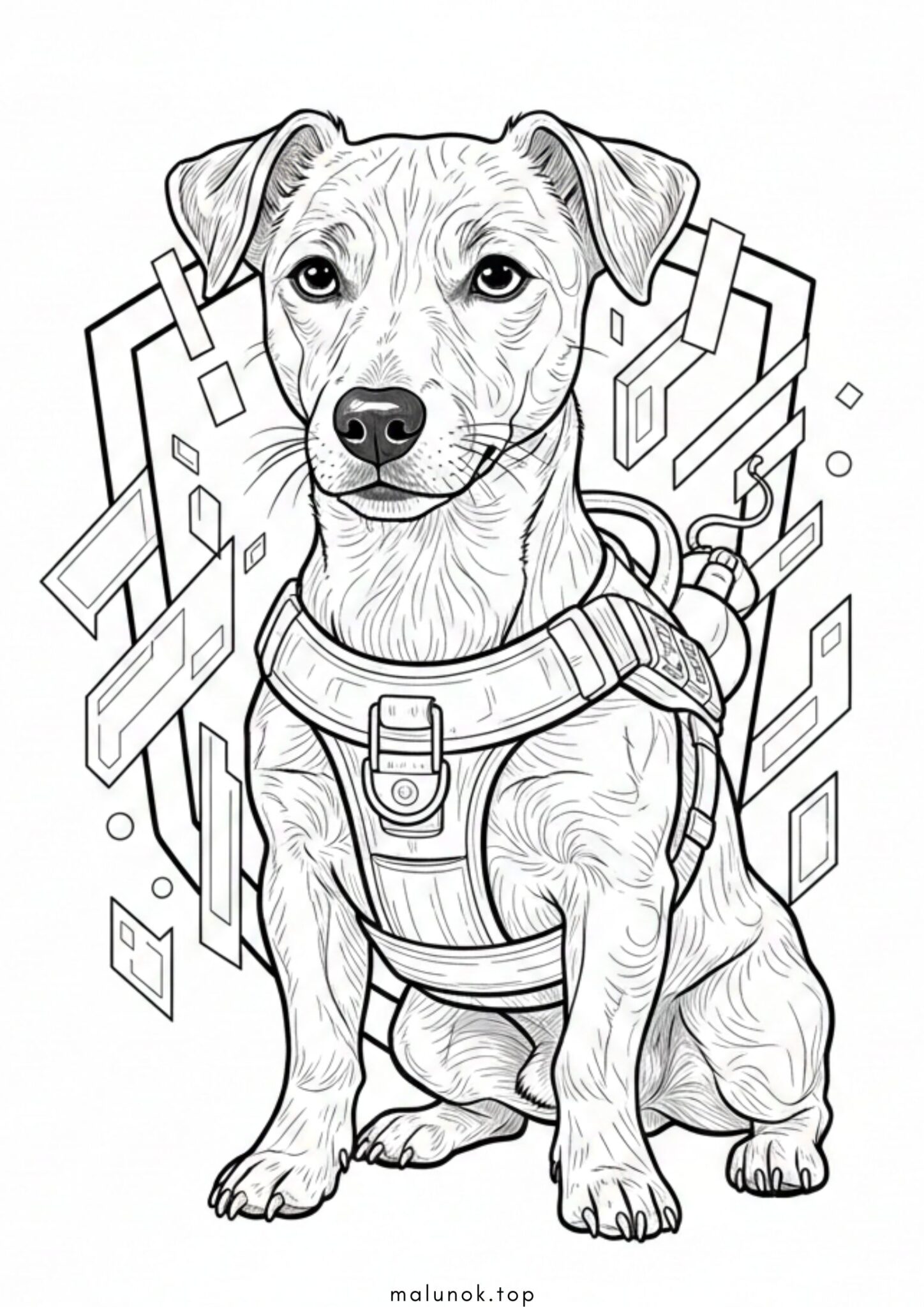 Раскраска Хоробрий пес Патрон