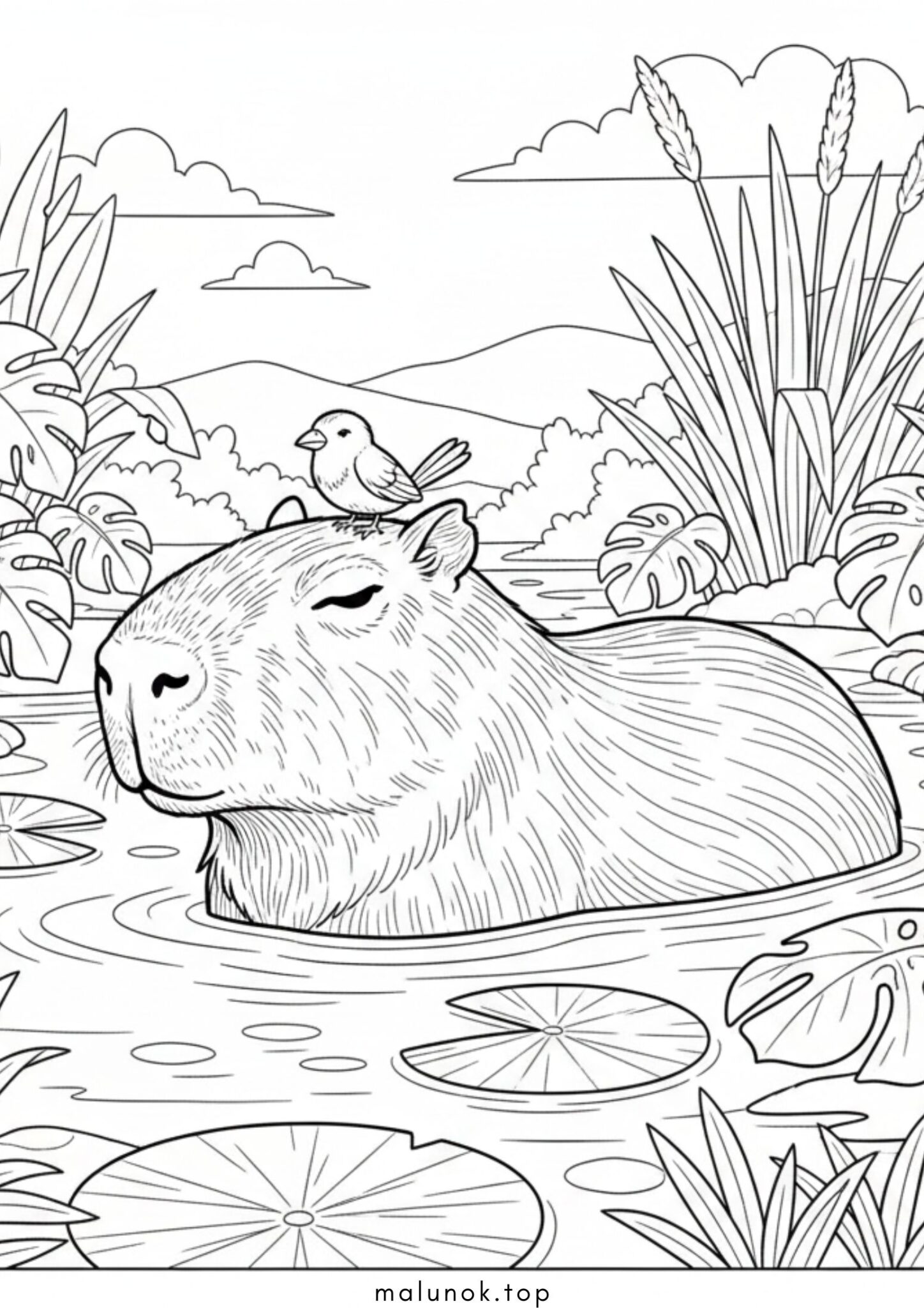 Раскраска Капібара чилить