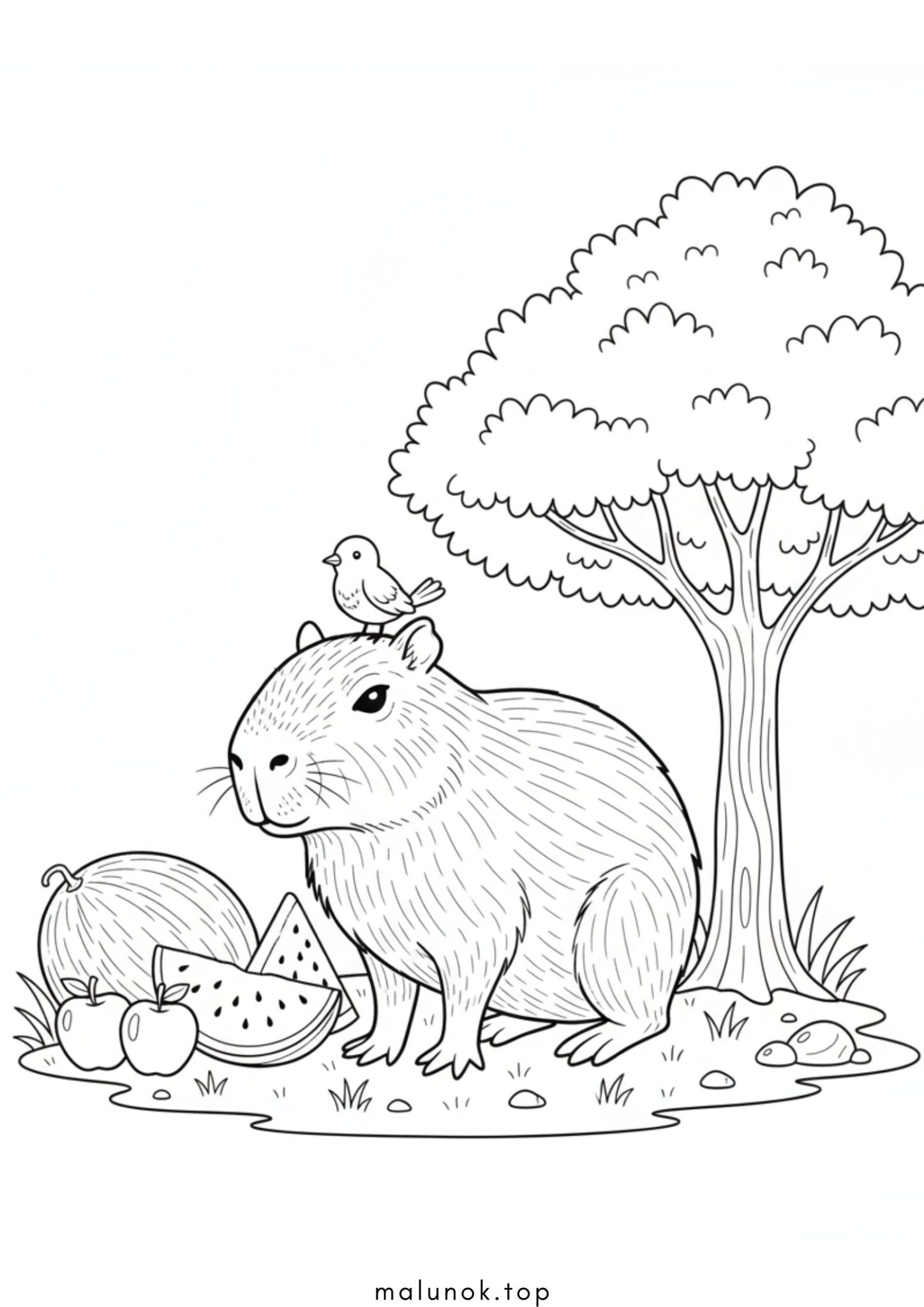 Раскраска Капібара з пташкою