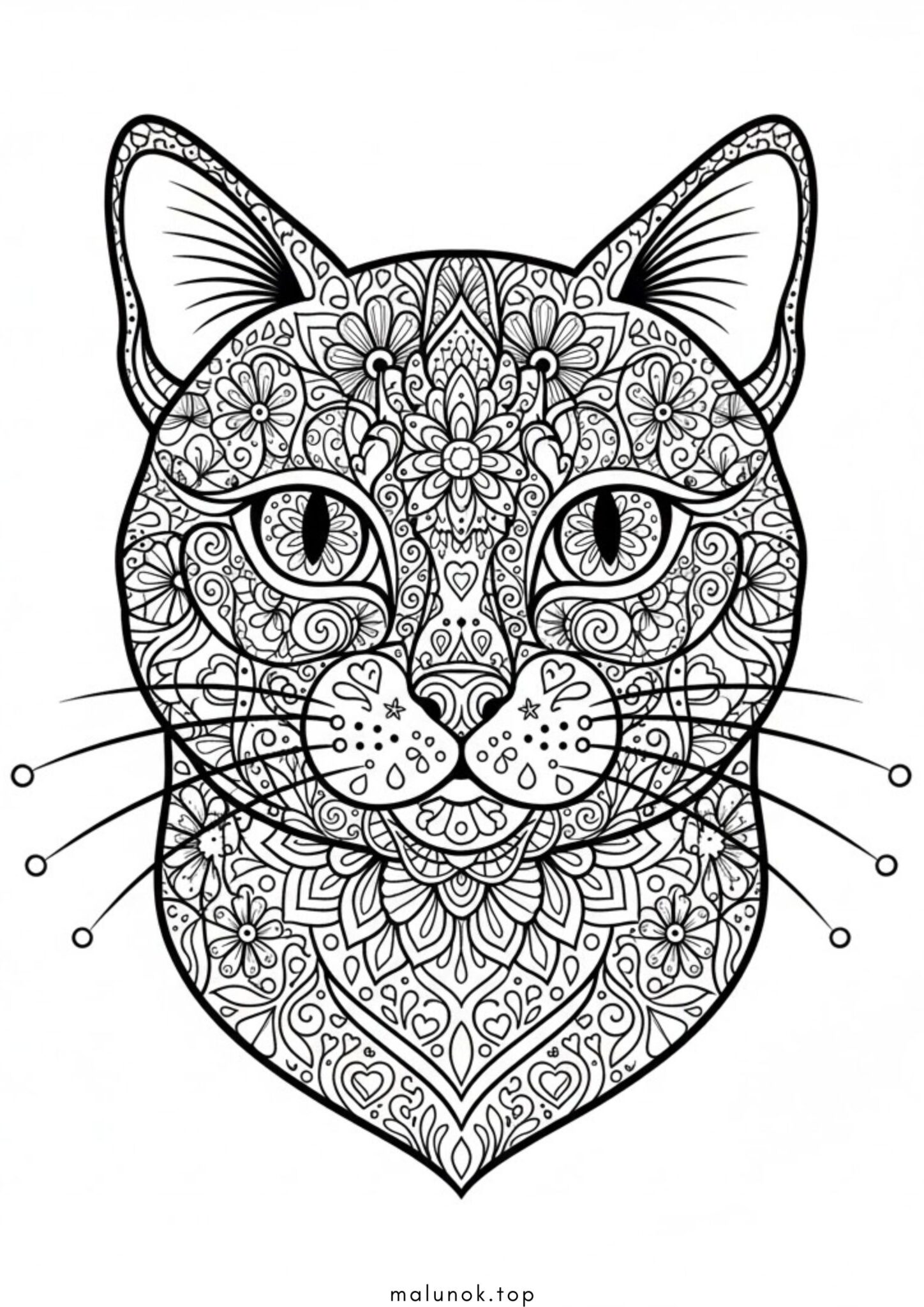 Раскраска Кіт антистрес