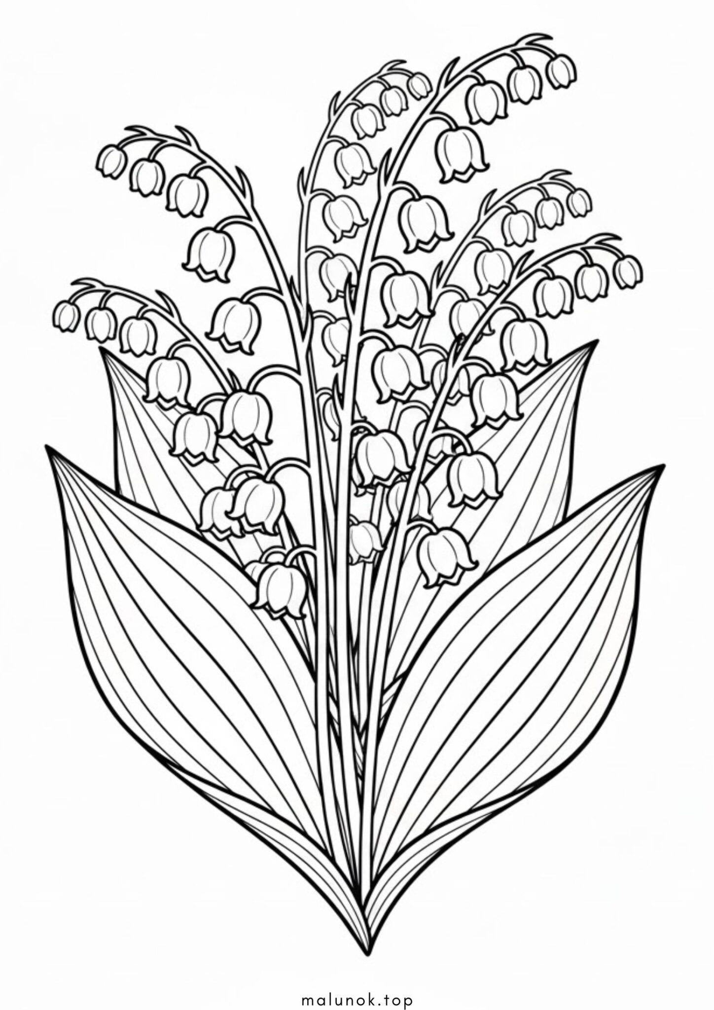 Раскраска Конвалії – квіти