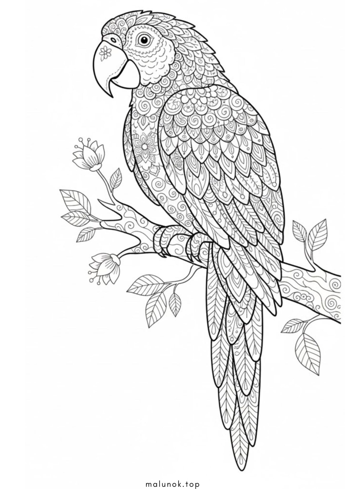 Раскраска Папуга антистрес