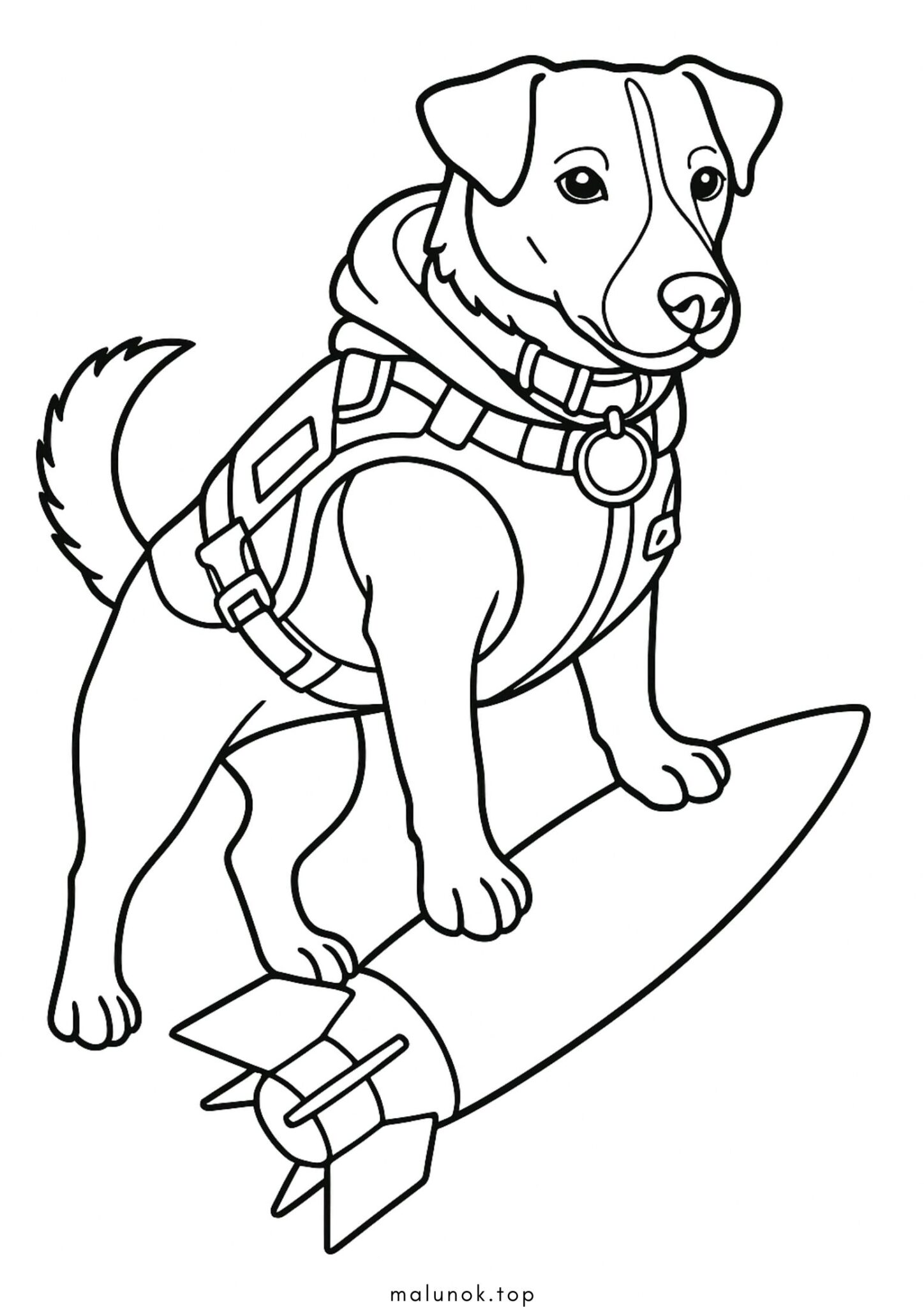 Раскраска Пес Патрон – символ мужності