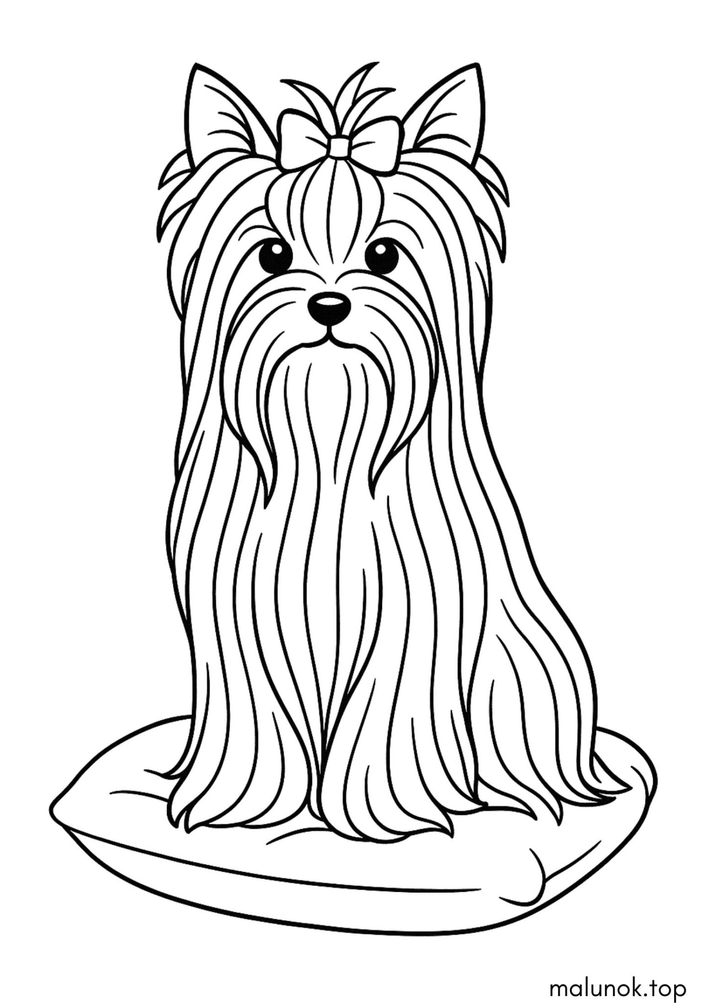 Раскраска Собачка йоркширський тер’єр