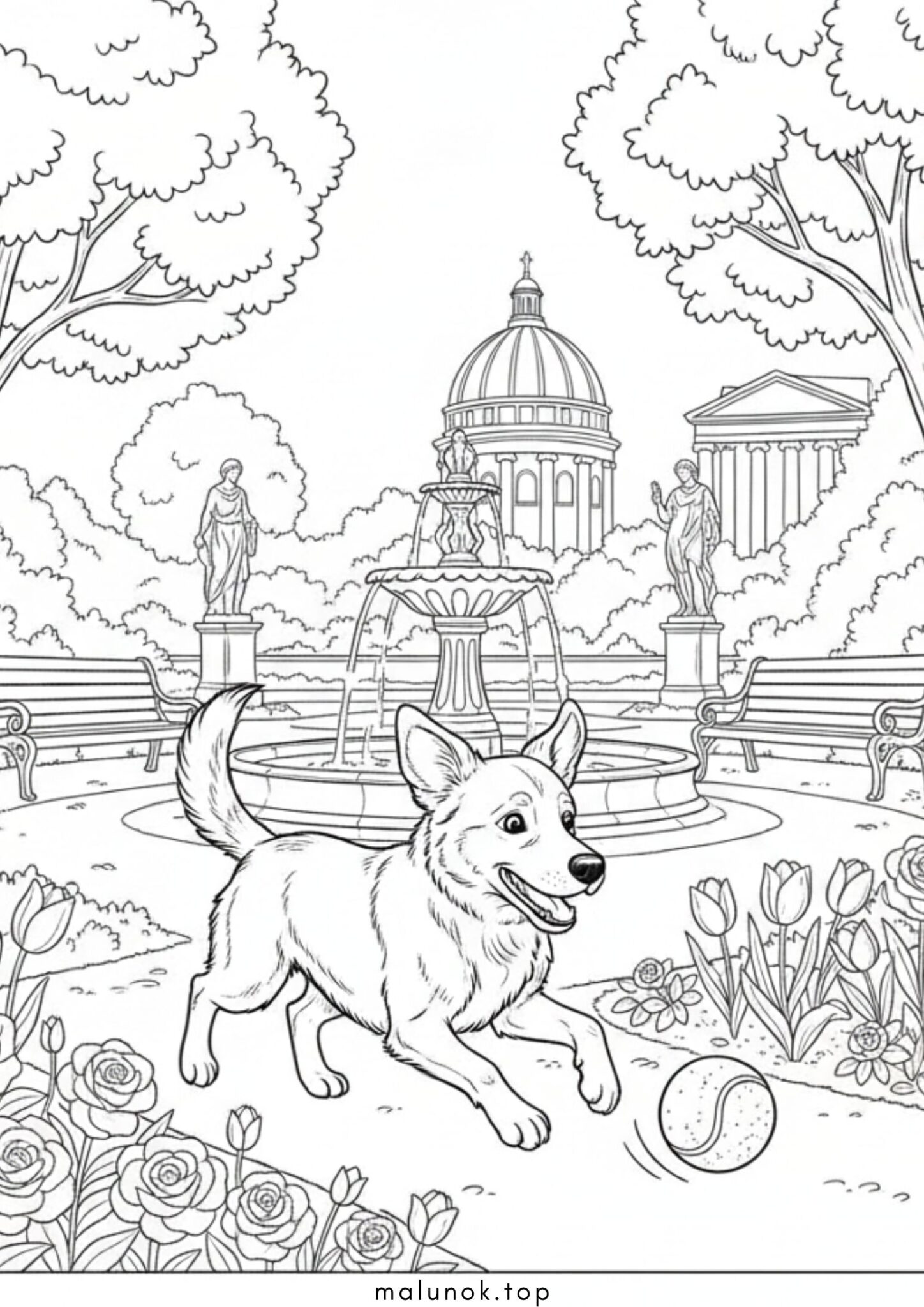 Раскраска Собака ганяється за м’ячиком