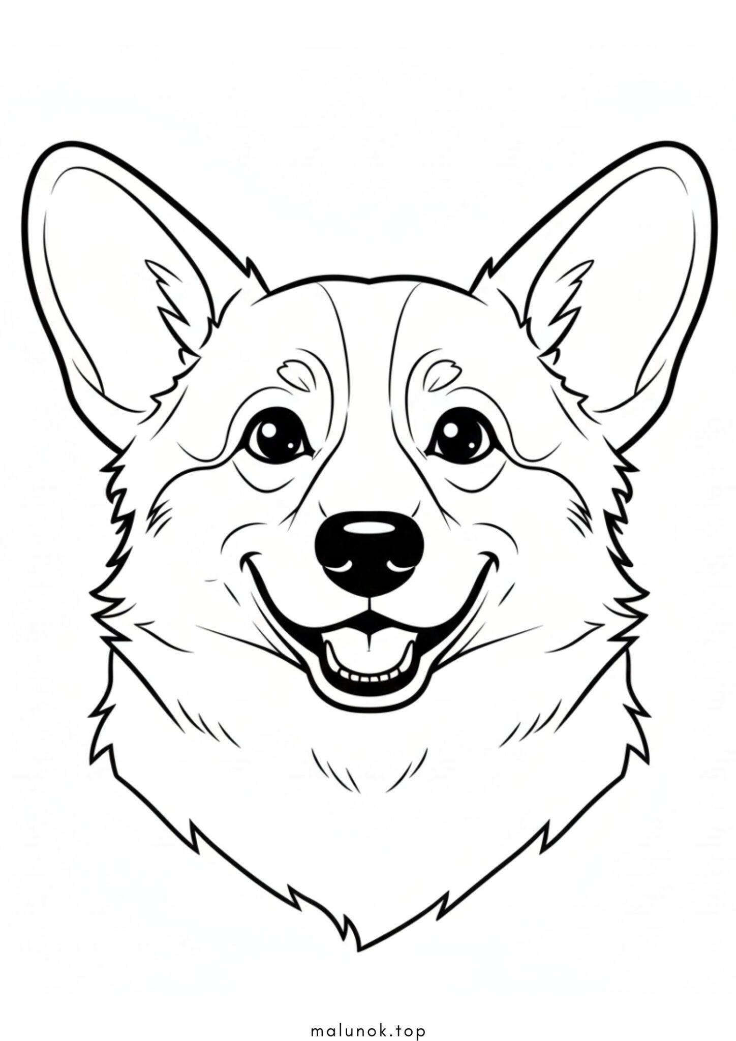 Раскраска Собака корги