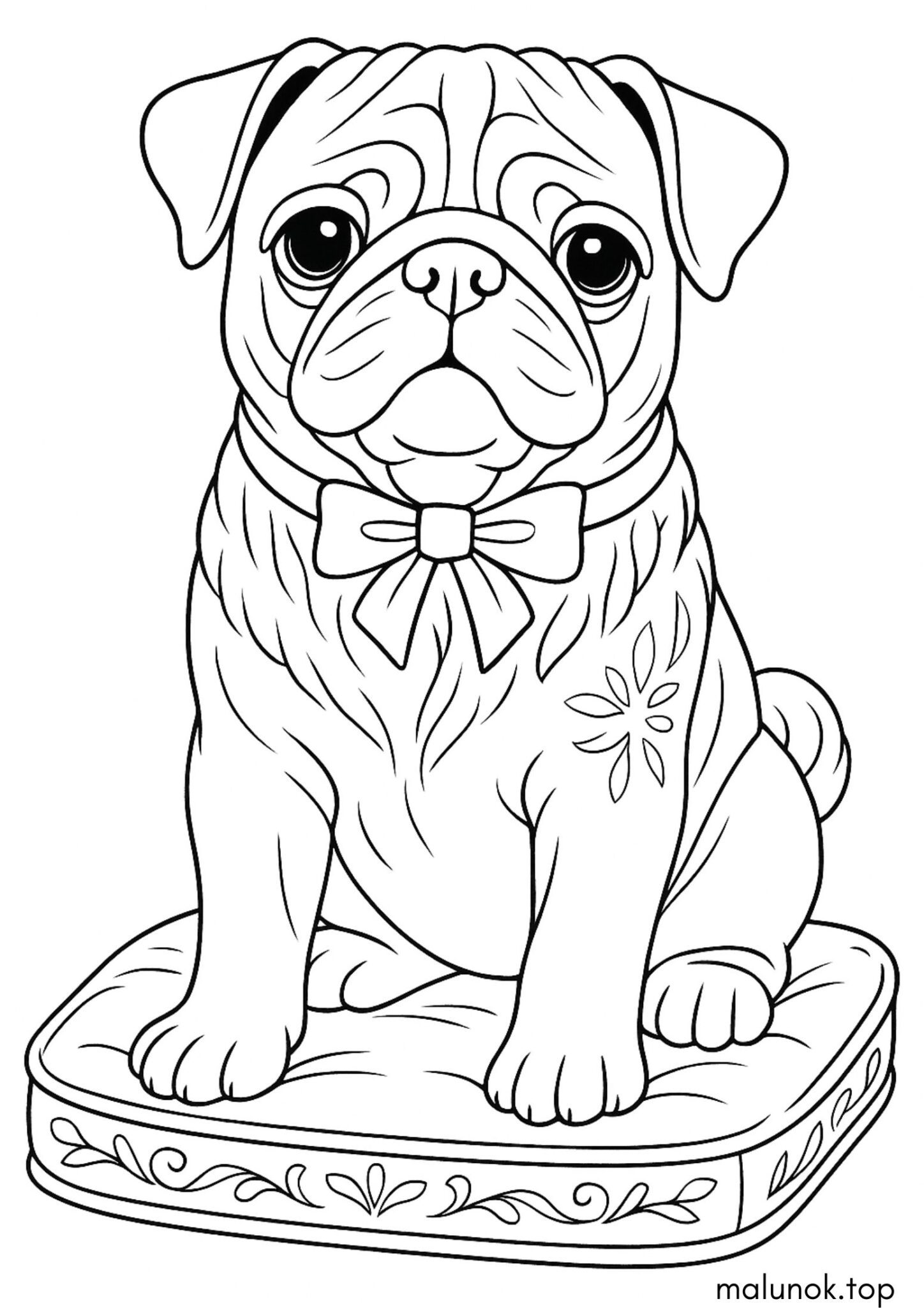 Раскраска Собака мопс