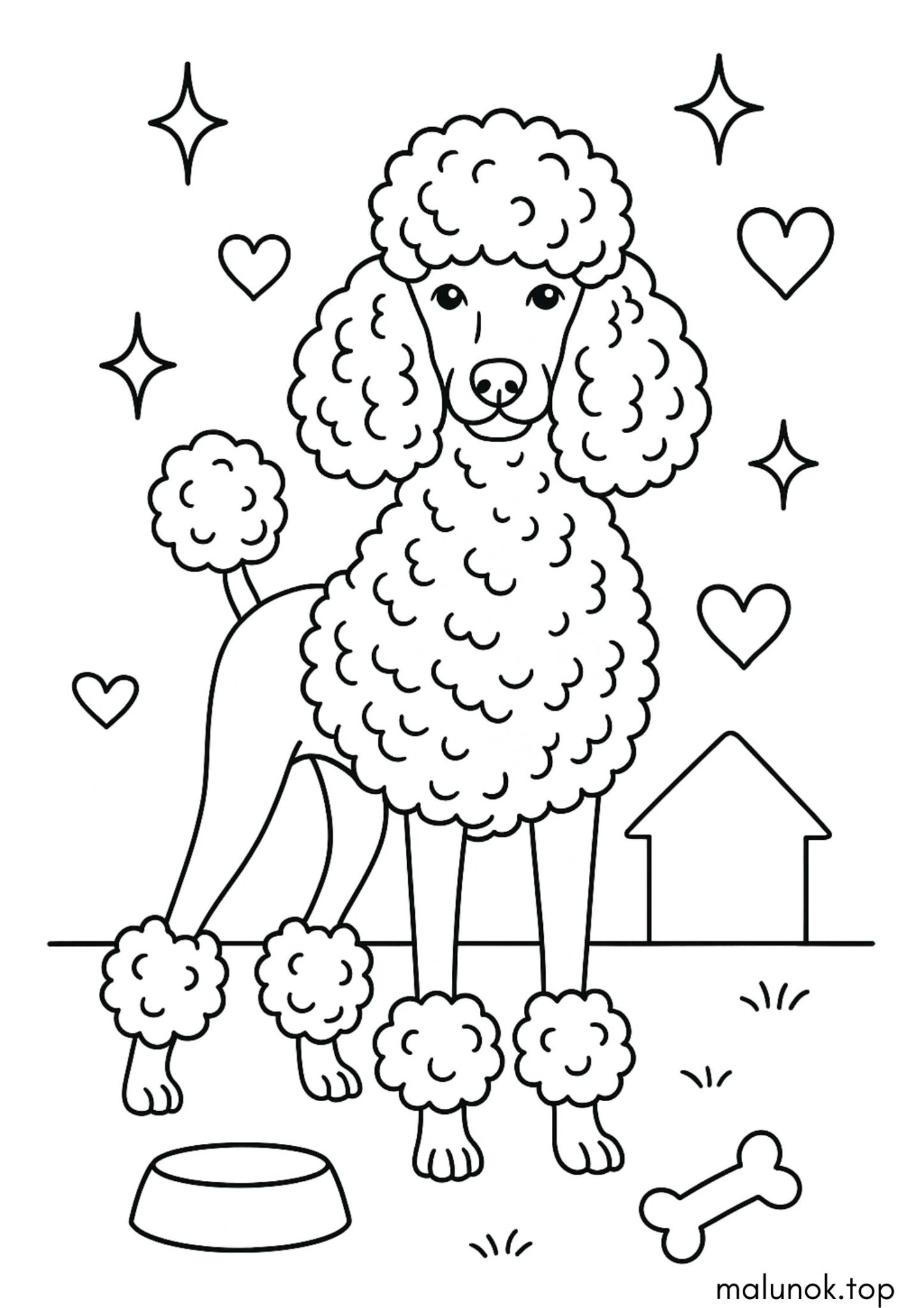 Раскраска Собака пудель