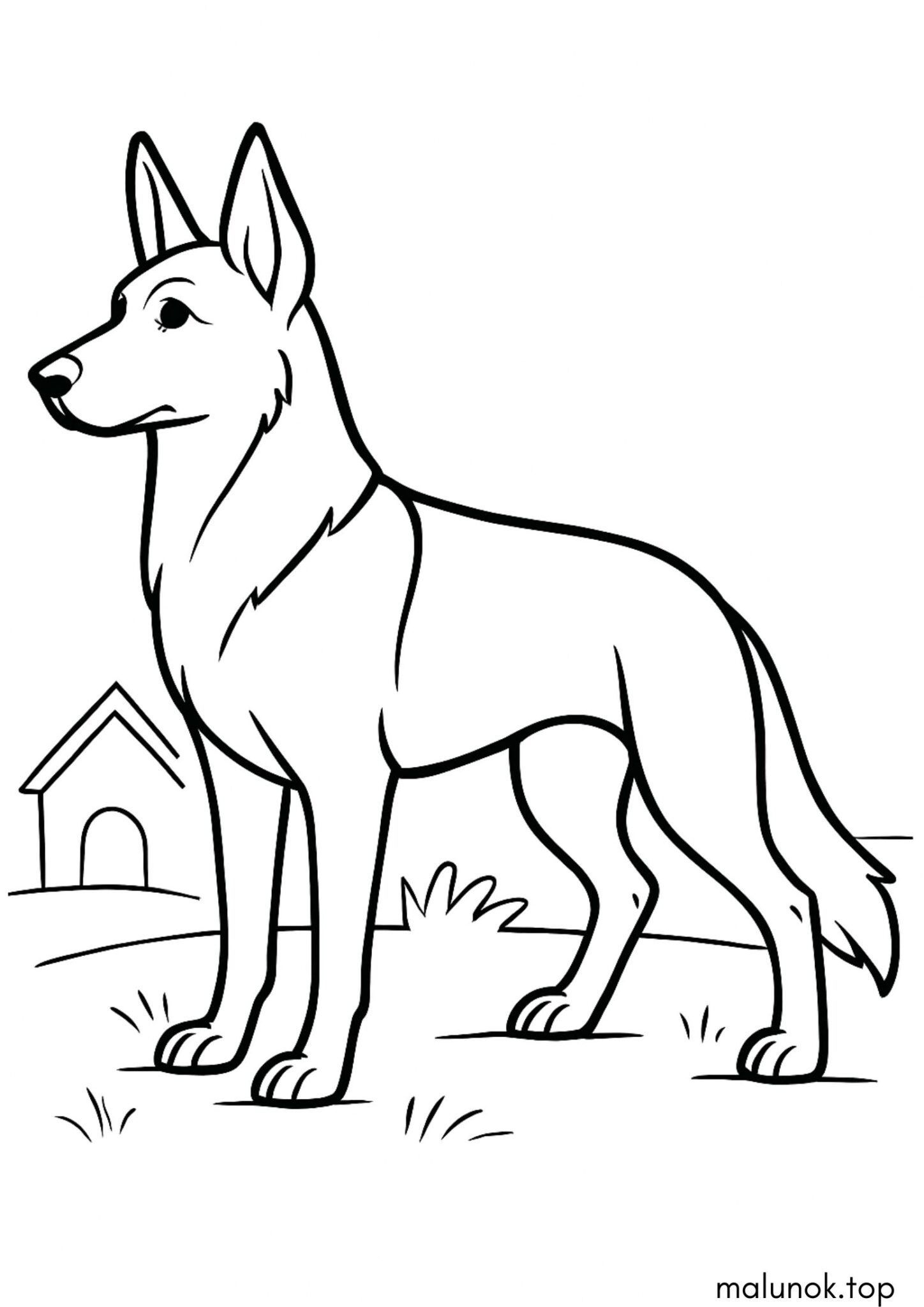 Раскраска Собака вівчарка