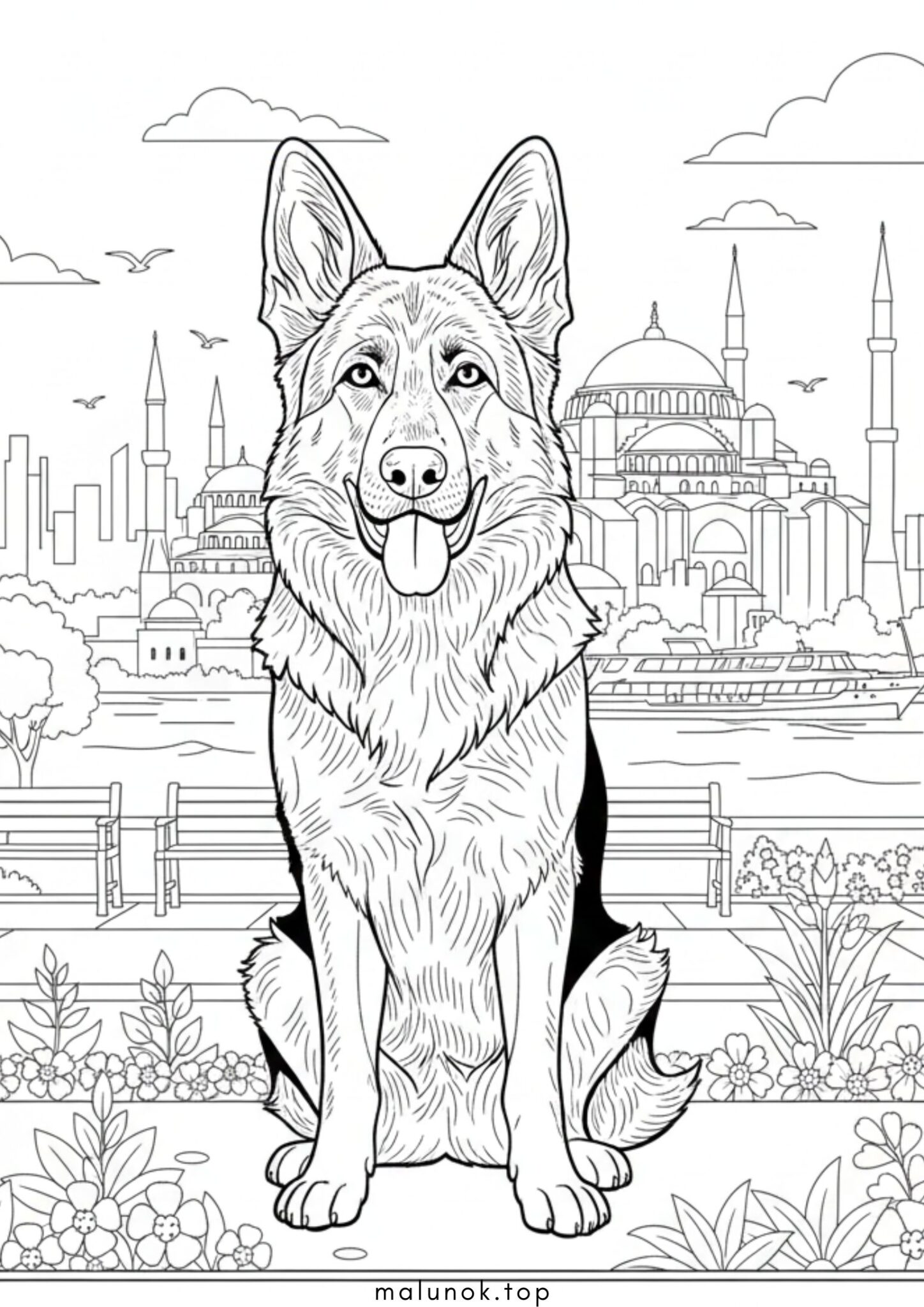 Раскраска Собака вівчарка у Стамбулі