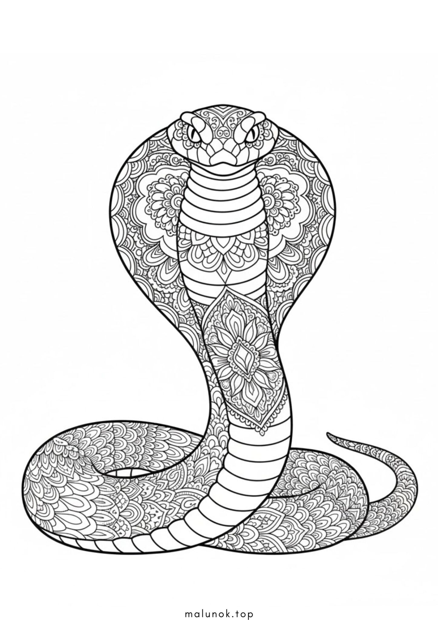 Раскраска Змія кобра