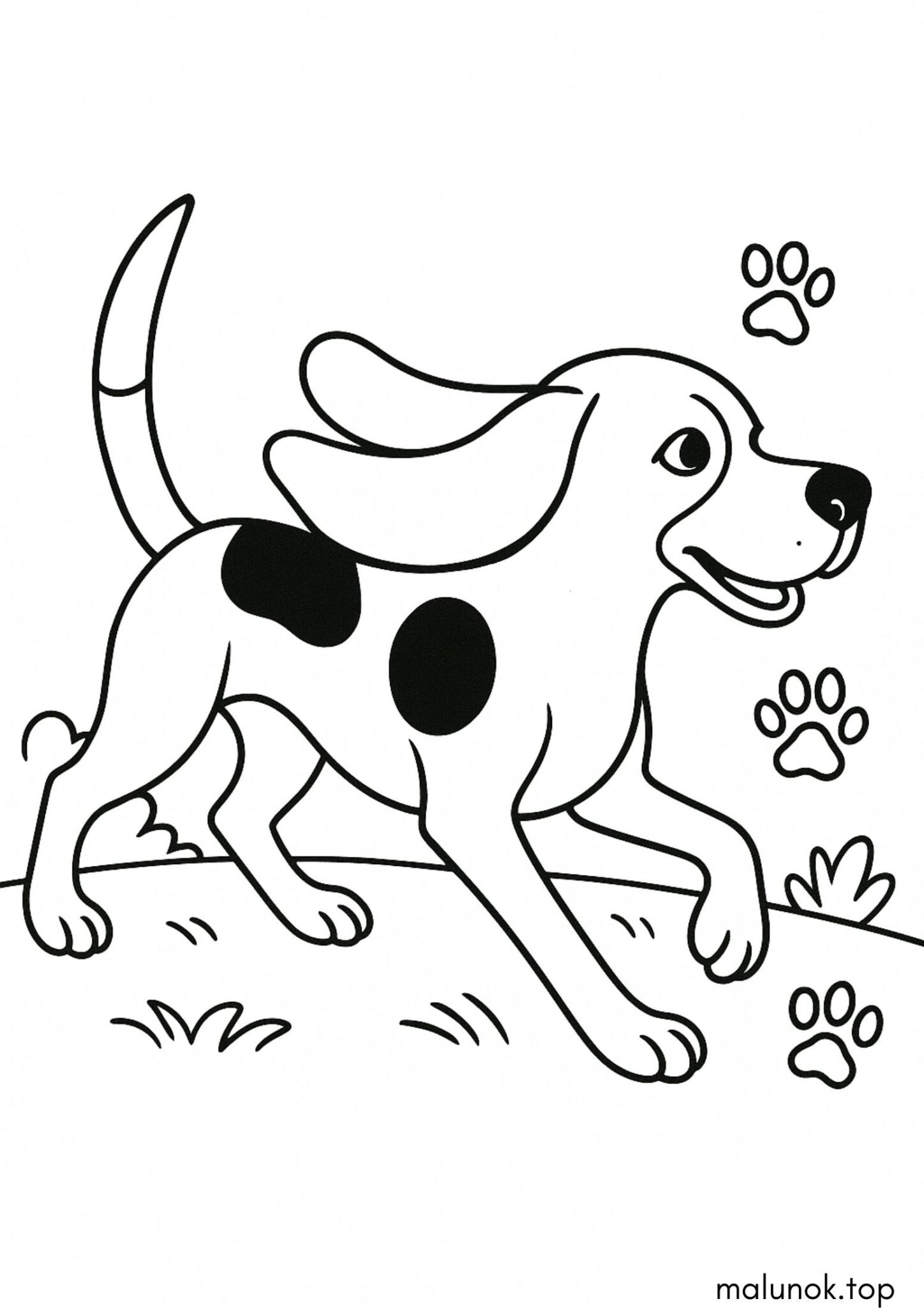 Раскраска Собачка бігль