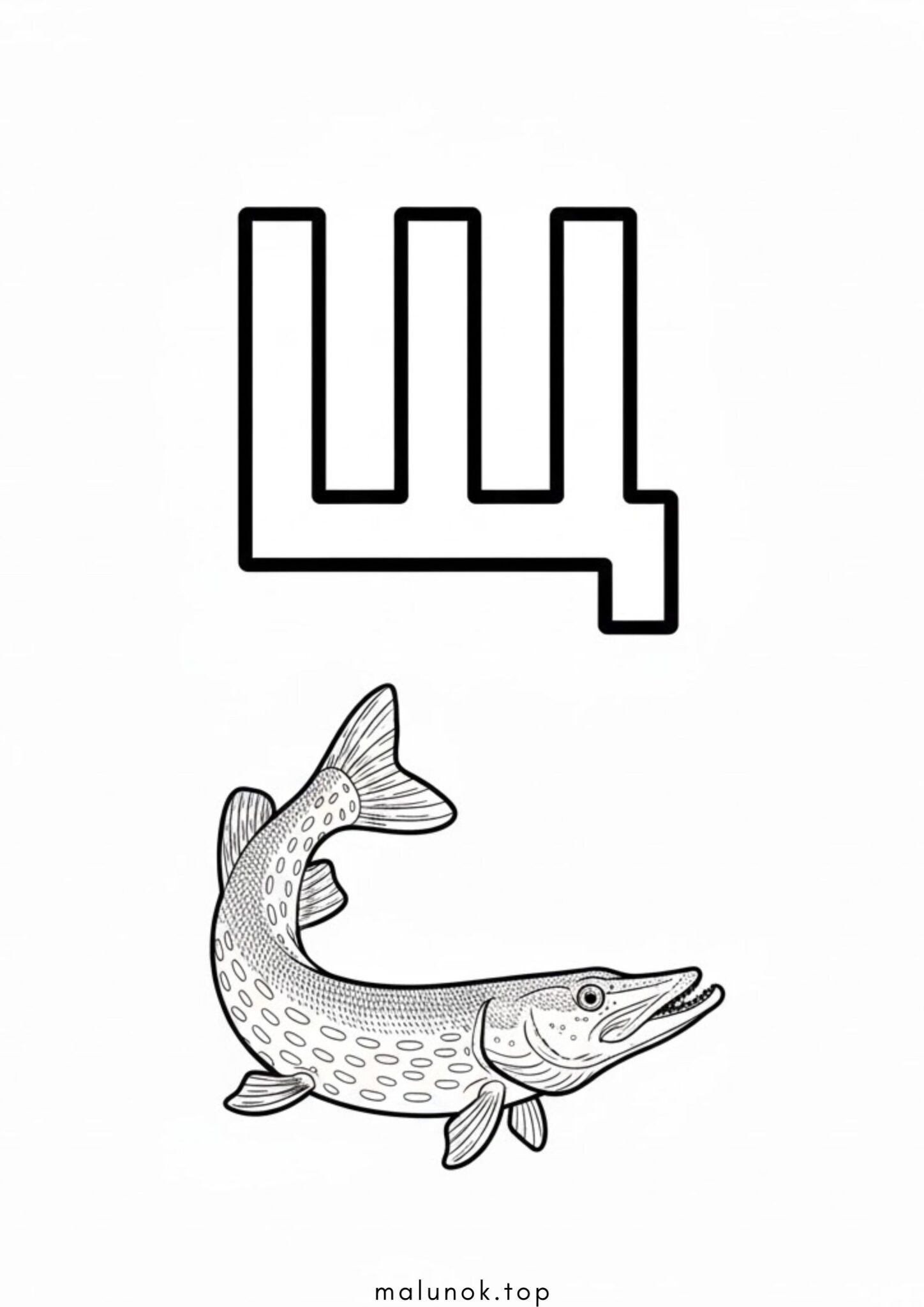Раскраска Літера Щ – щука (буква)