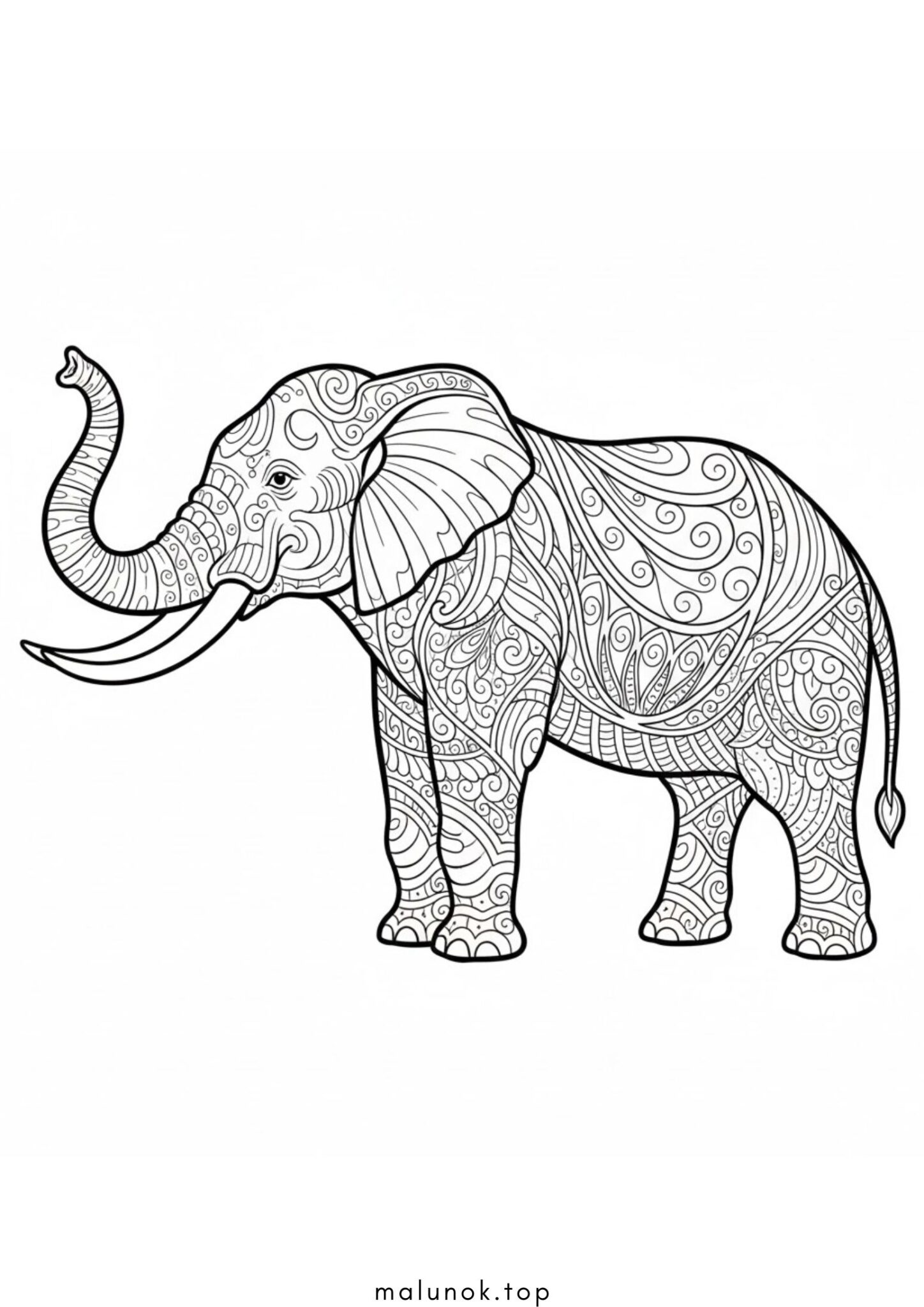 Раскраска Слон антистрес