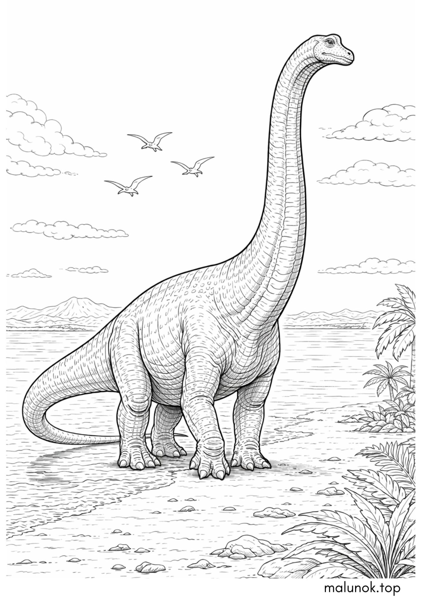 Раскраска Динозавр Брахіозавр Раскраска Динозавр Брахіозавр