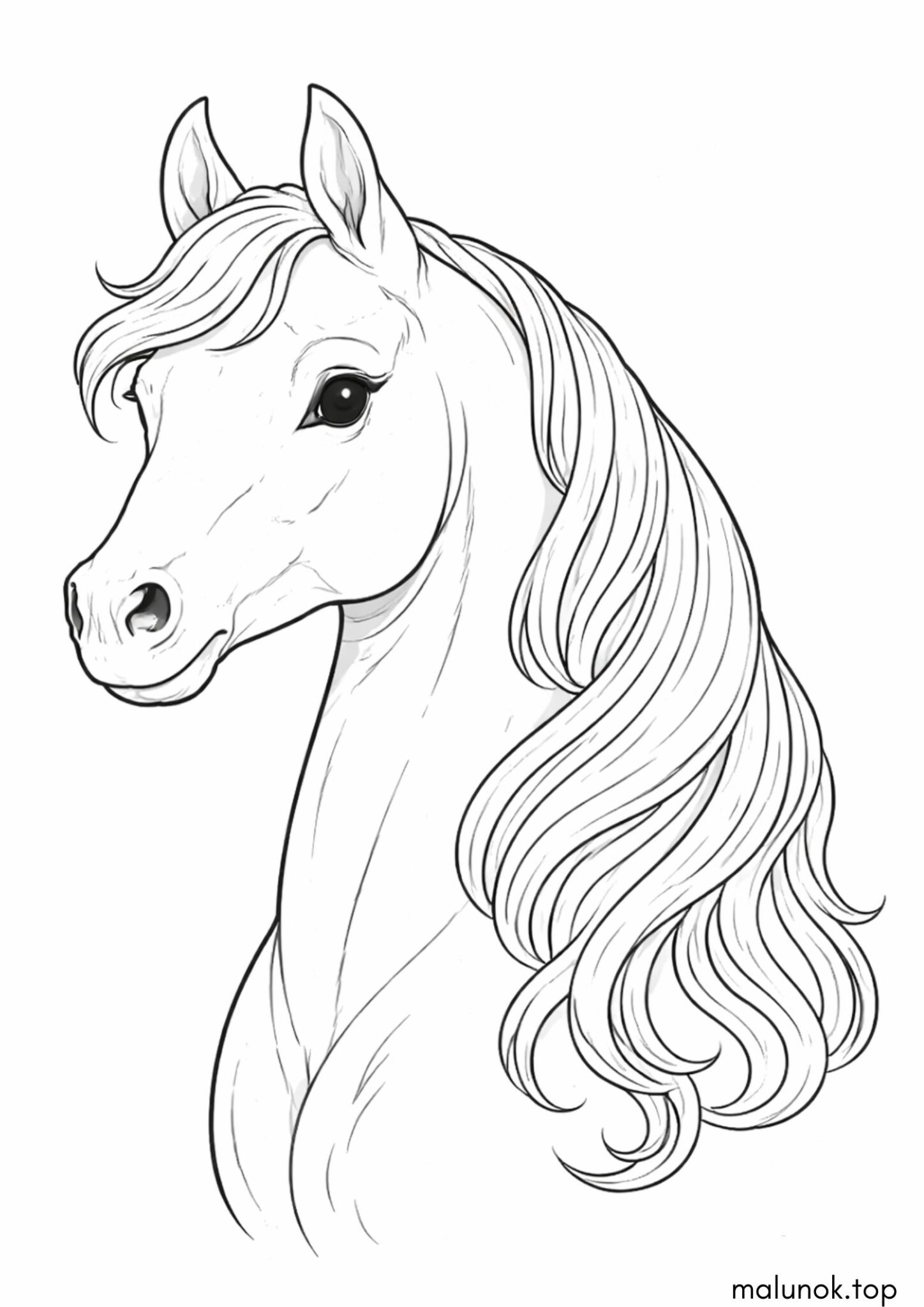 Раскраска Голова коня