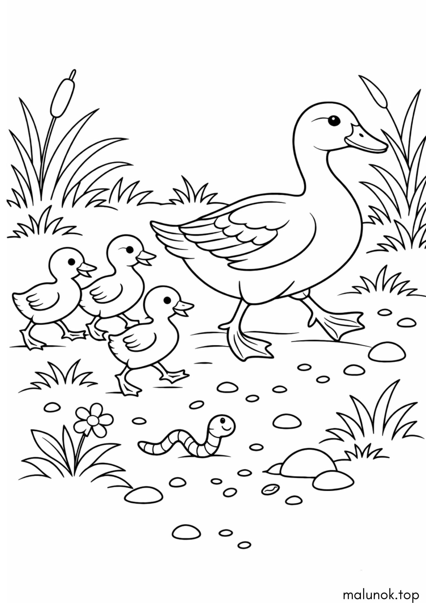 Раскраска Пташки – Качка та Каченята