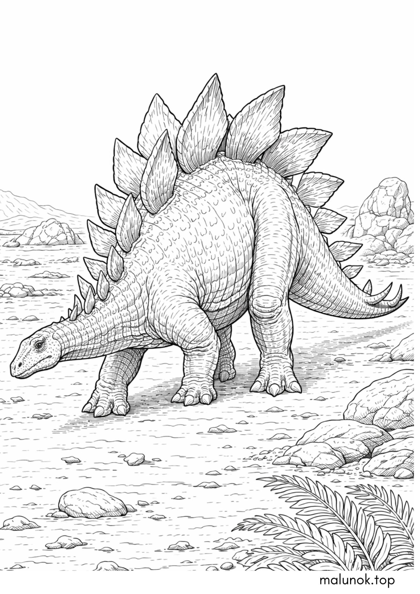 Раскраска Динозавр Стегозавр Раскраска Динозавр Стегозавр