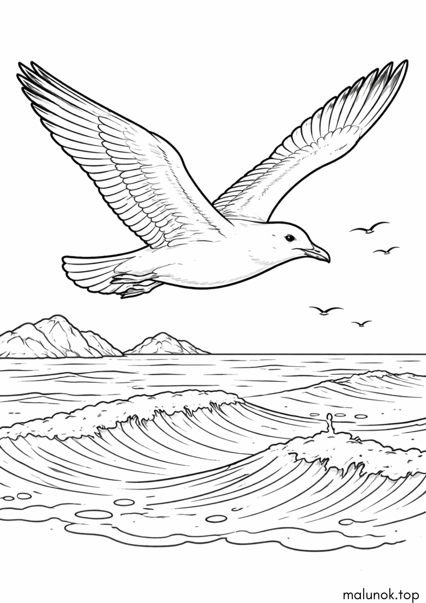 Раскраска Морська пташка Чайка