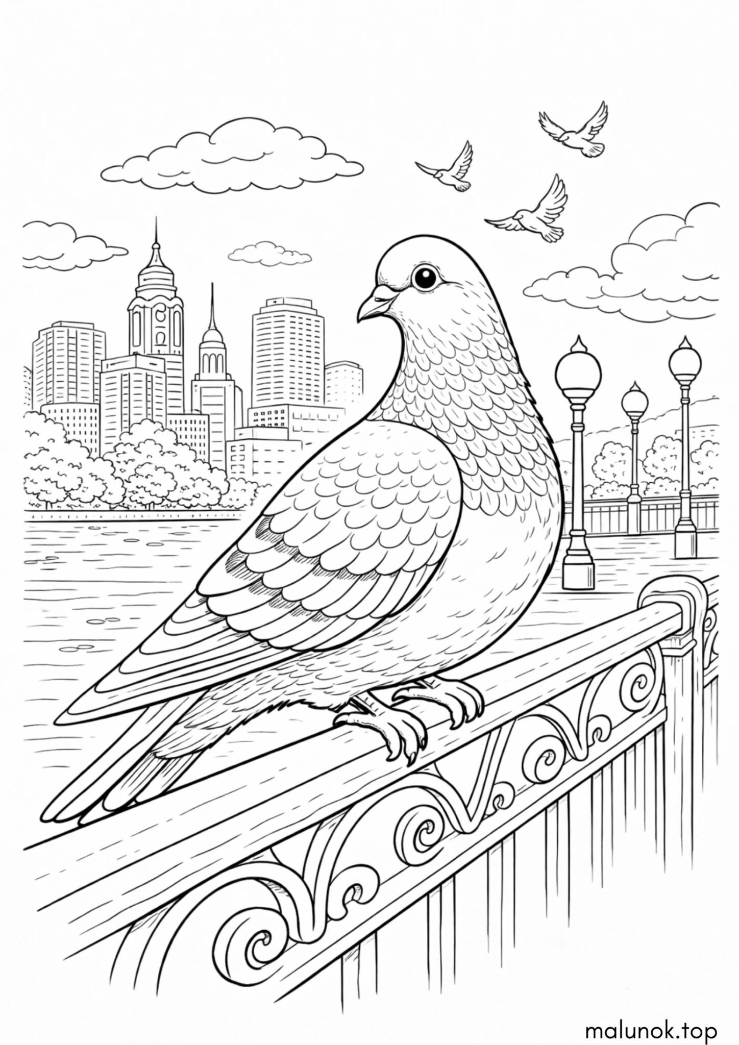 Раскраска Птах – голуб