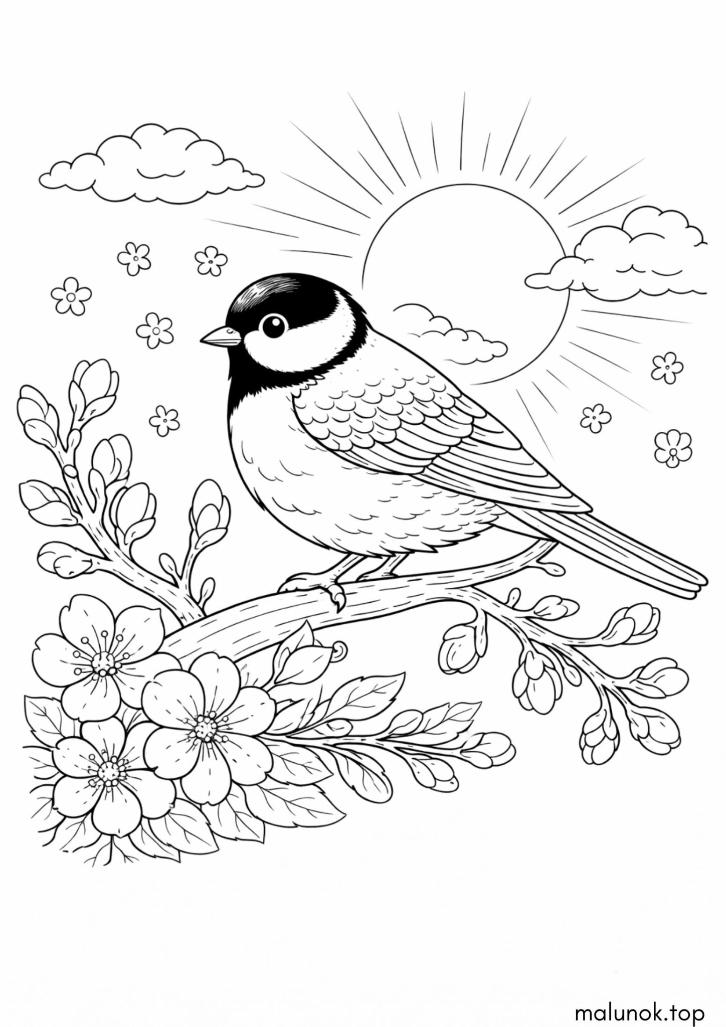 Раскраска Пташка – синичка