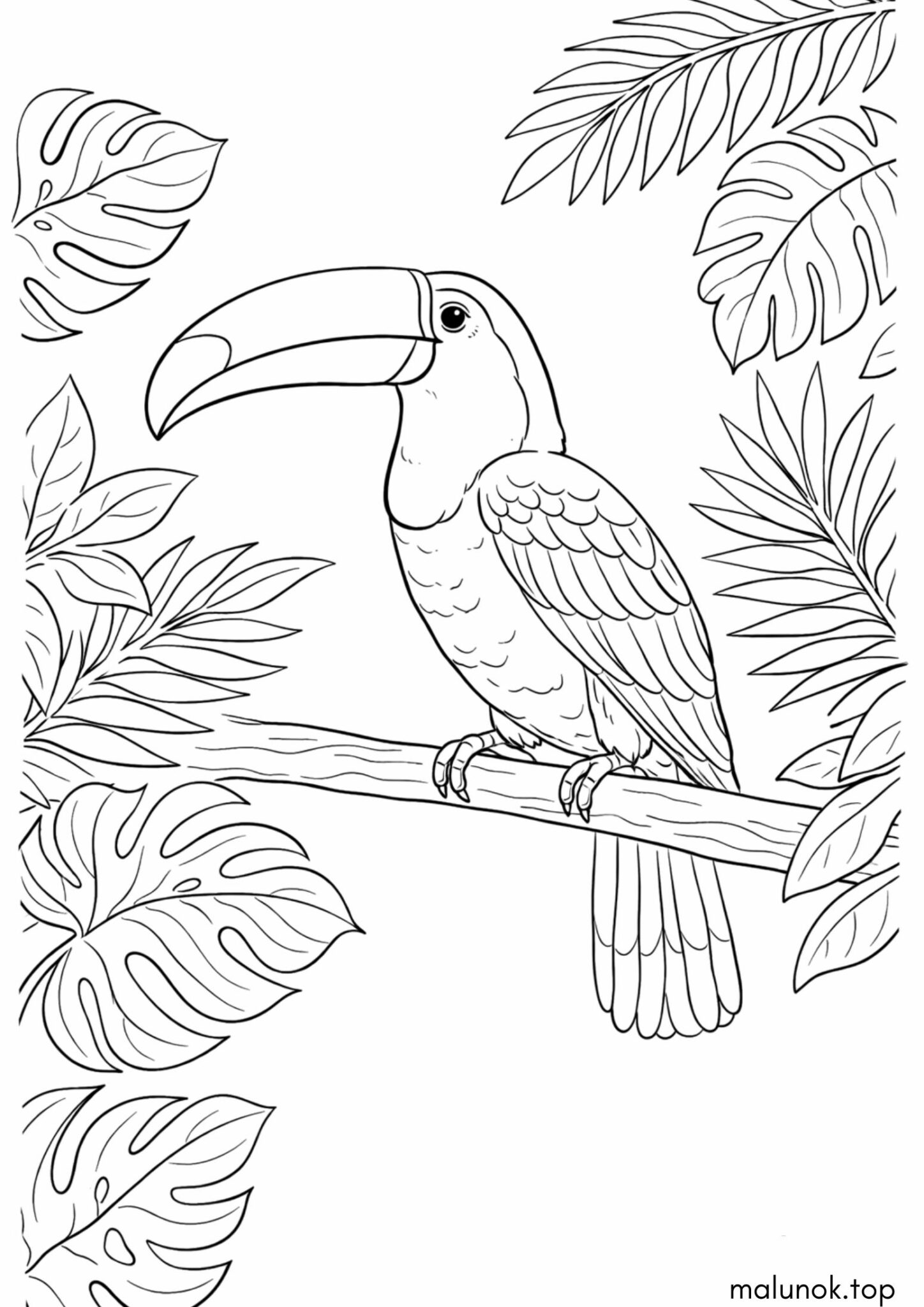 Раскраска Екзотичний птах Тукан