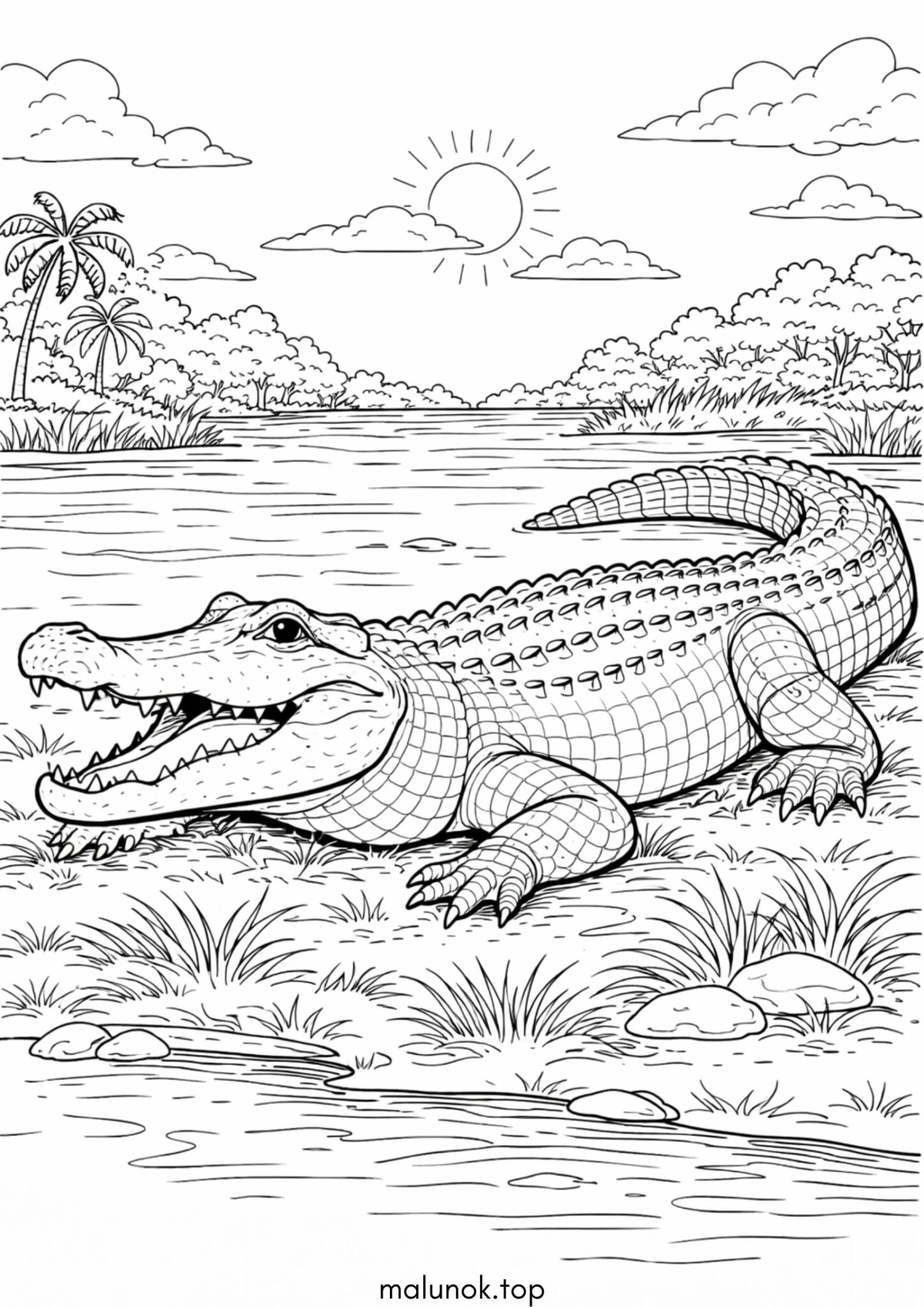 Розмальовка Реалістичний крокодил алігатор