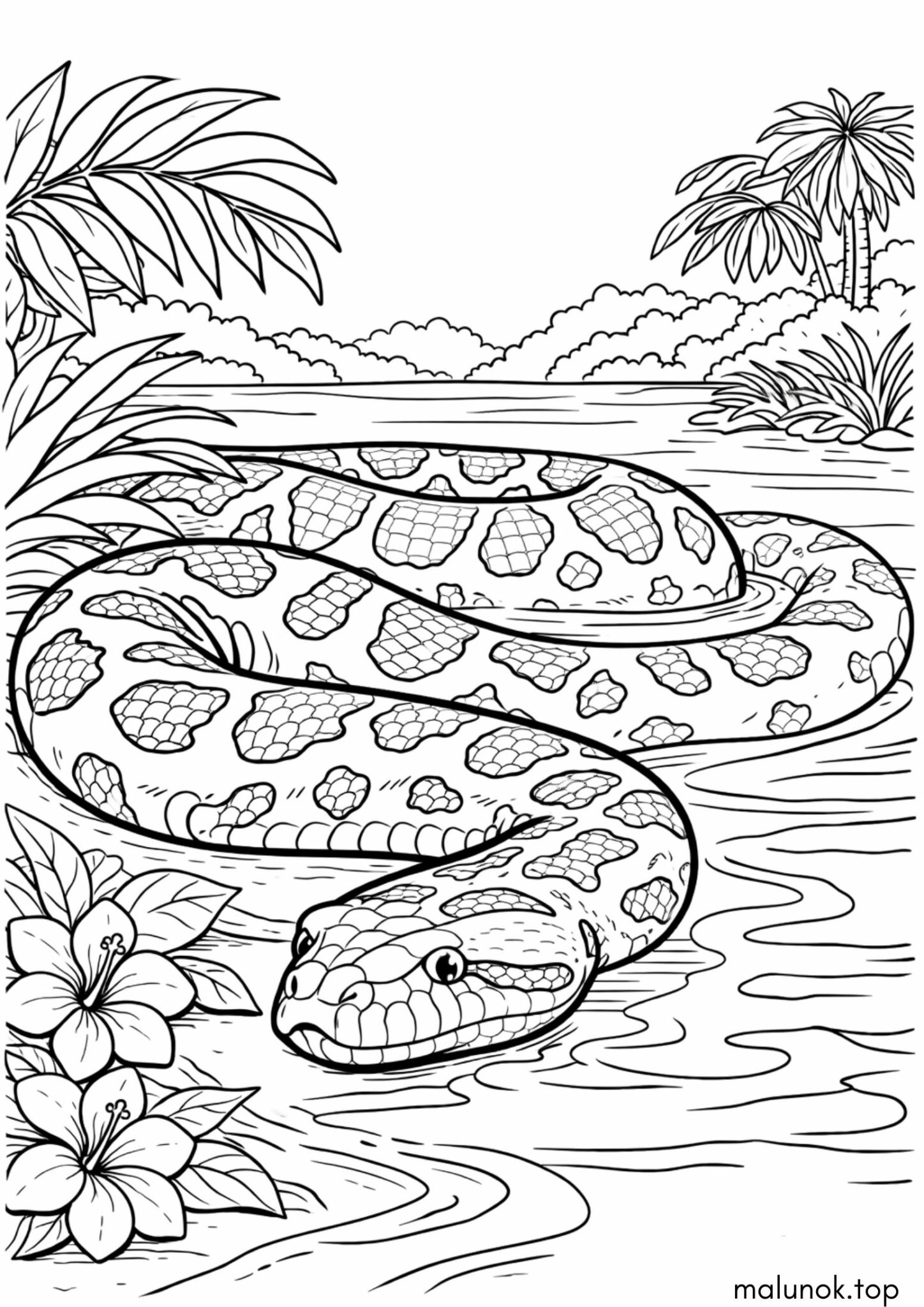 Раскраска Змія – Анаконда