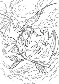 Беззубик та Денна Лють у небі (Як приборкати дракона)