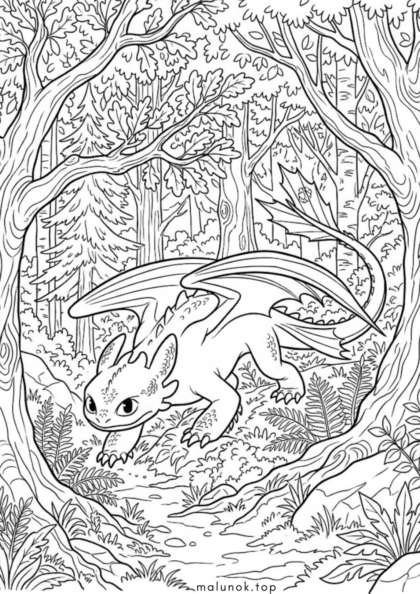 Раскраска Беззубик у лісі (Як приборкати дракона)