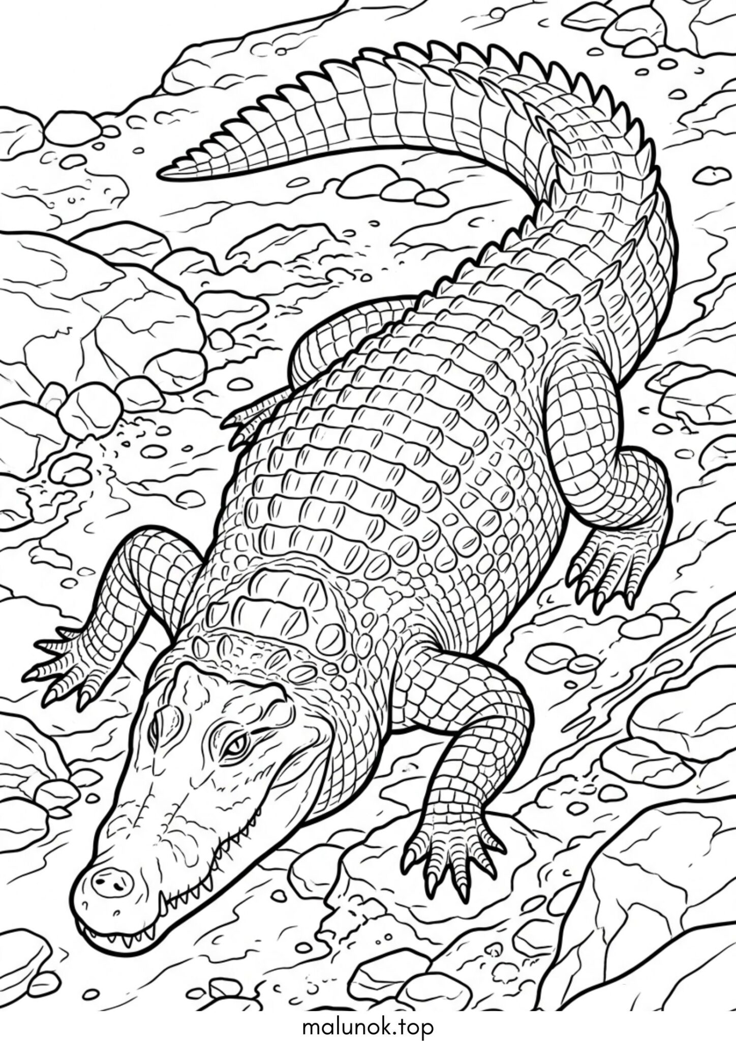 Розмальовка Болотний крокодил