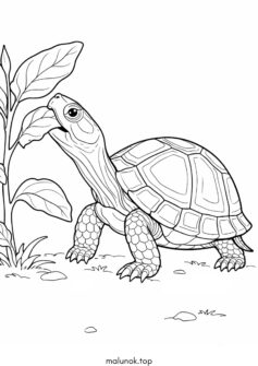 Черепаха їсть соковитий листок