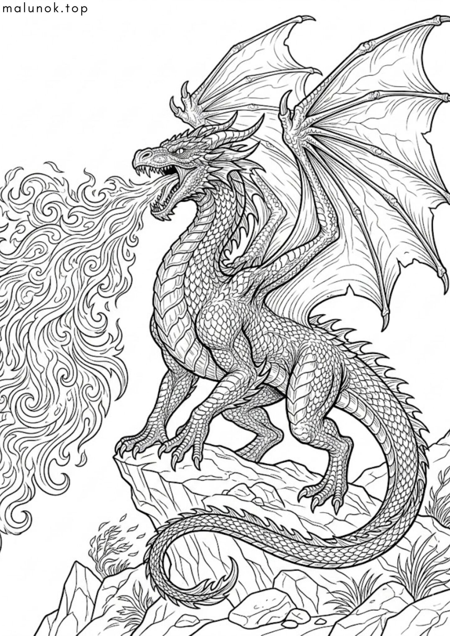 Раскраска Дракон та вогонь