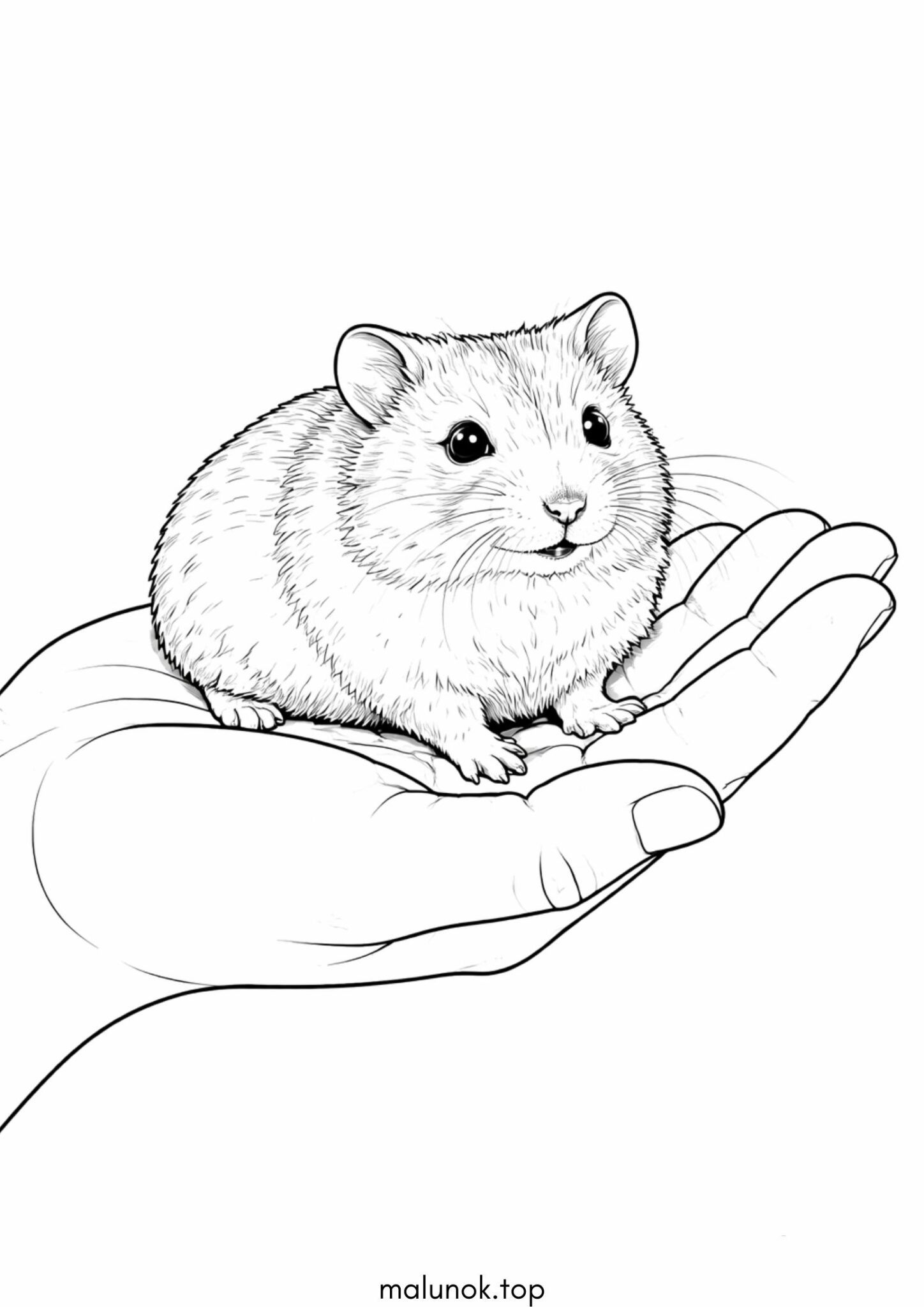 Раскраска Джунгарський хом’як