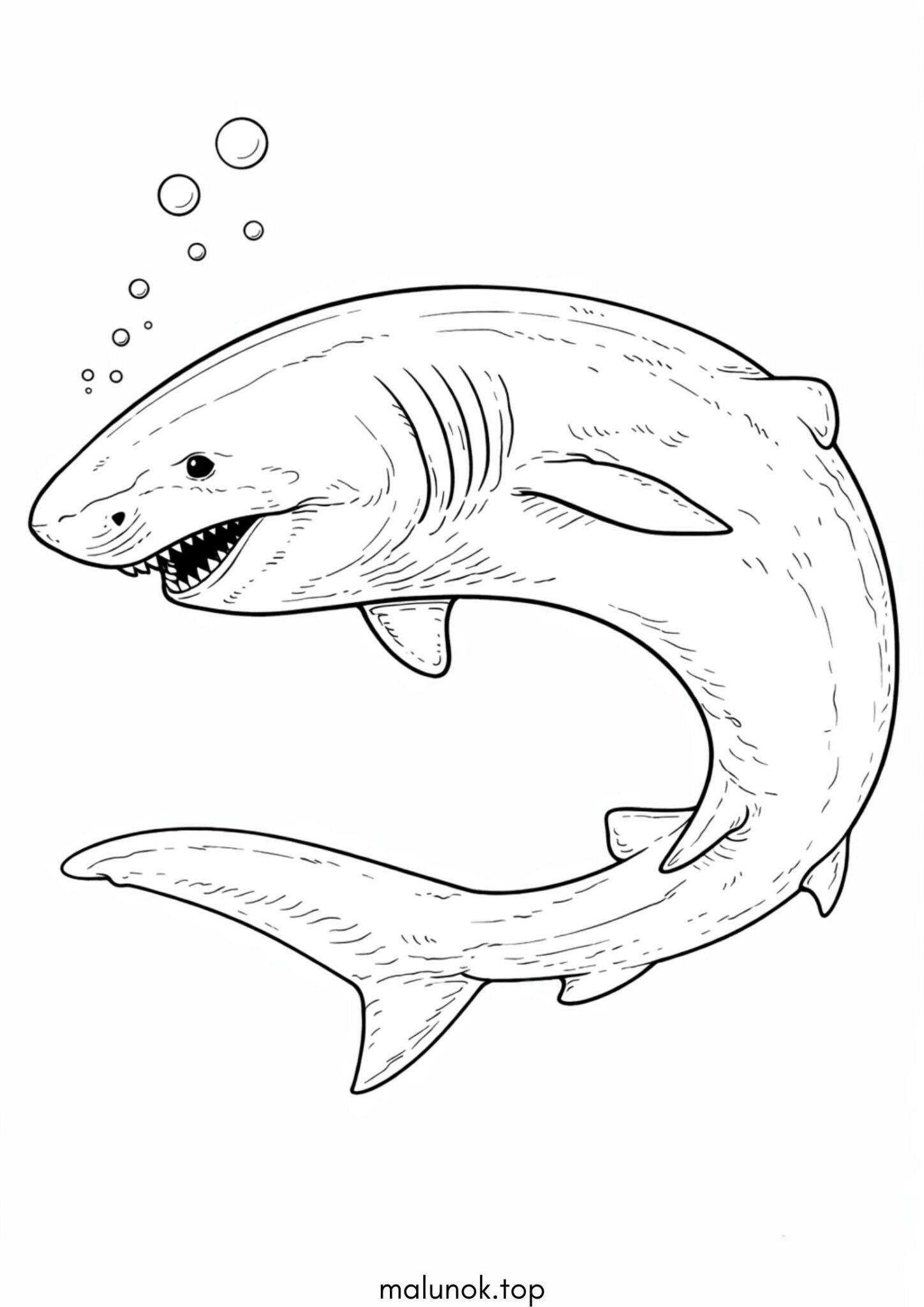 Розмальовка Гренландська акула Розмальовка Гренландська акула
