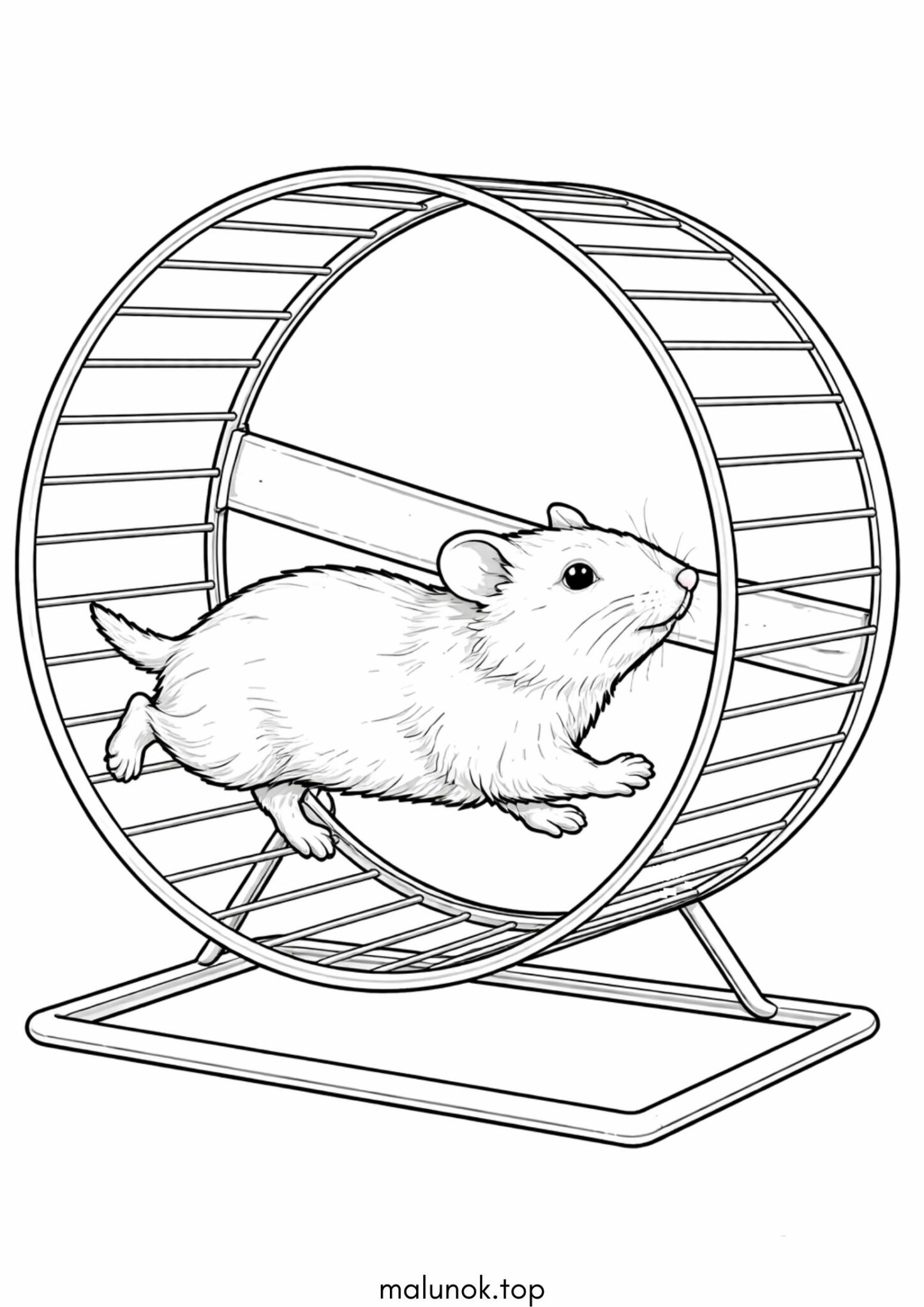 Раскраска Хом’як у біговому колесі