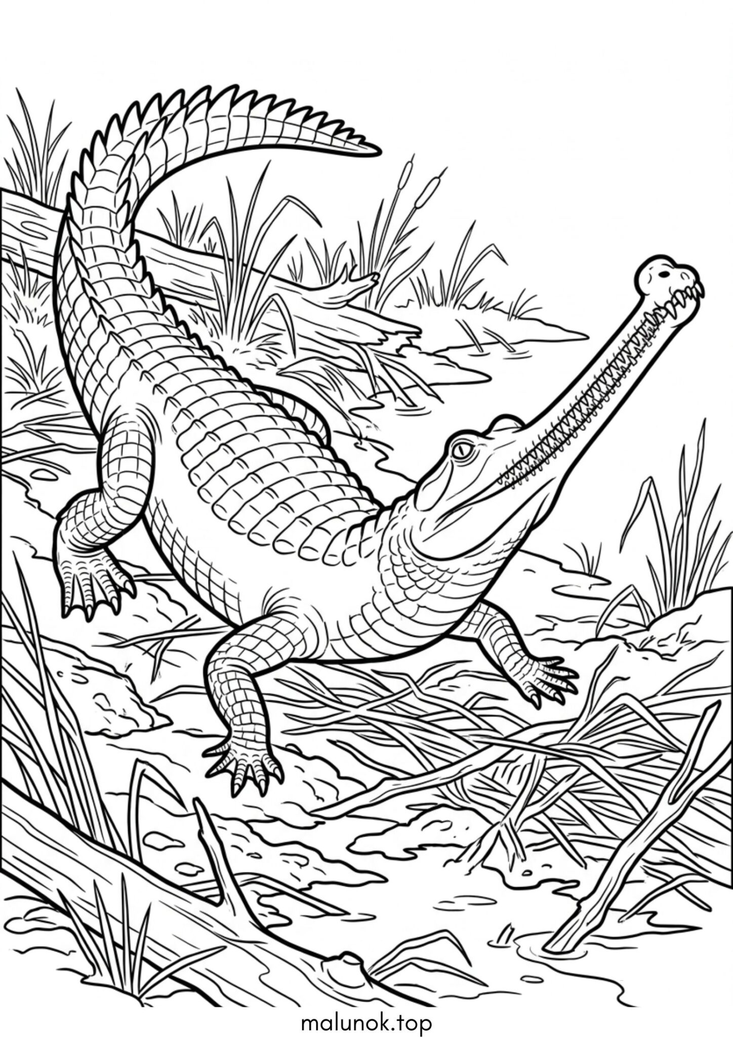Розмальовка Крокодил – Індійський гавіал