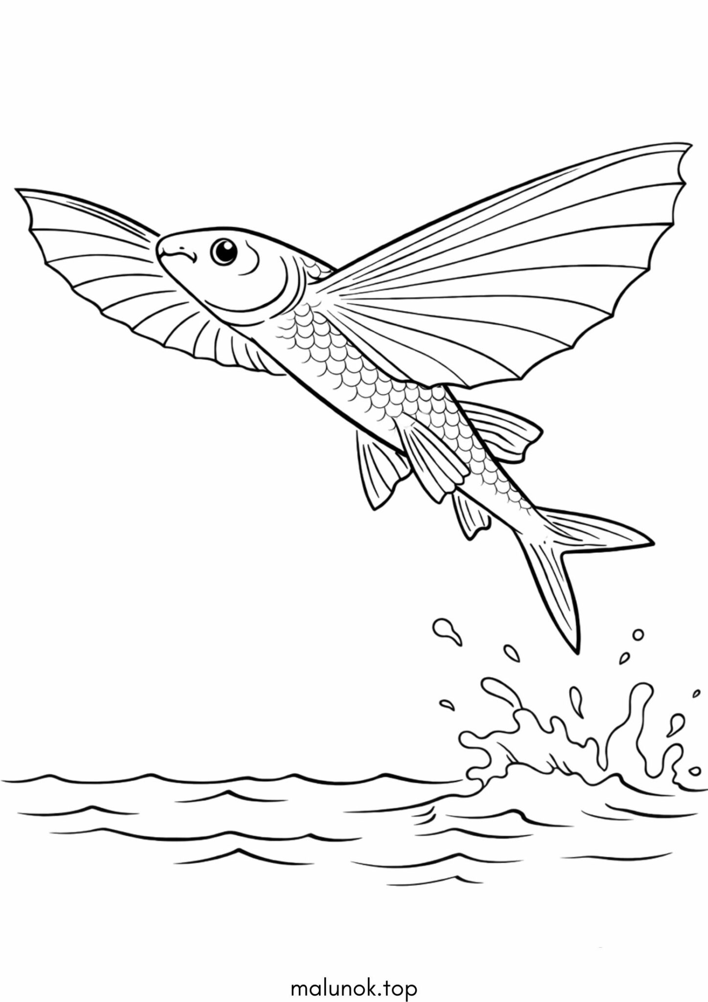 Розмальовка Летюча риба Розмальовка Летюча риба