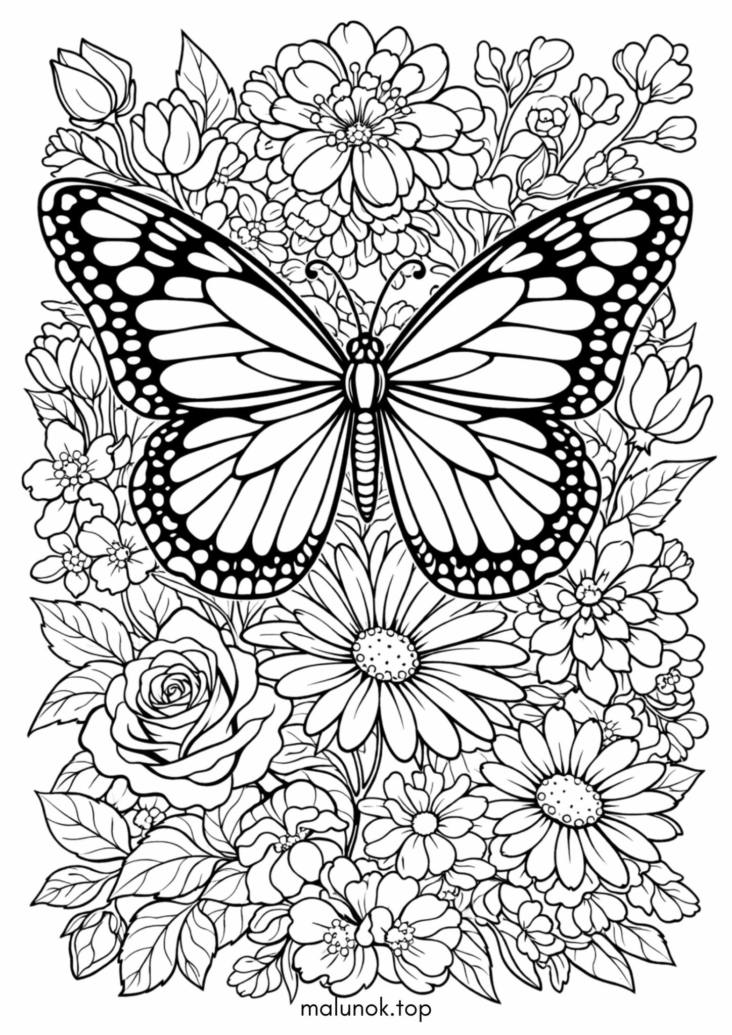 Раскраска Метелик Антистрес