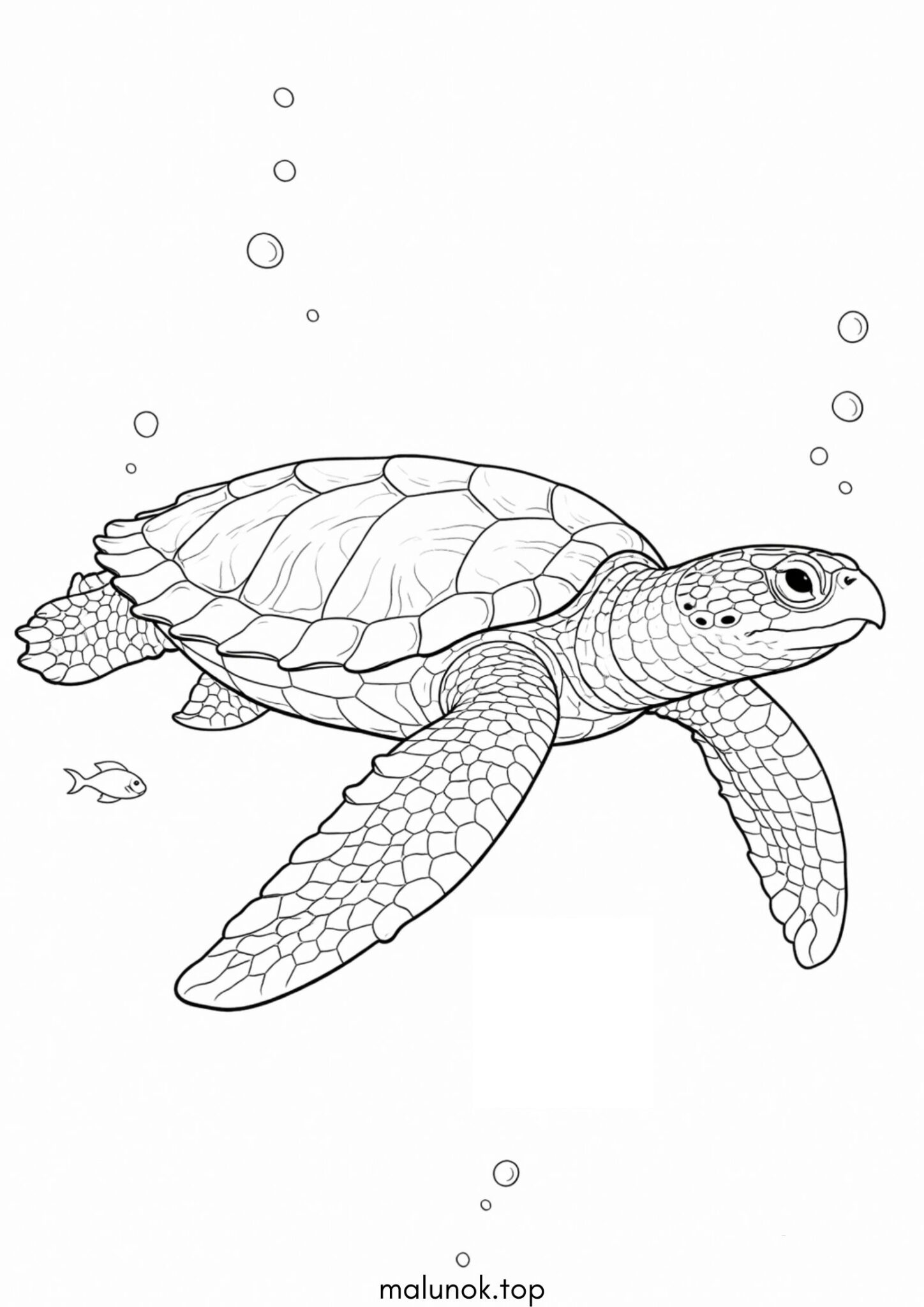 Розмальовка Морська черепаха