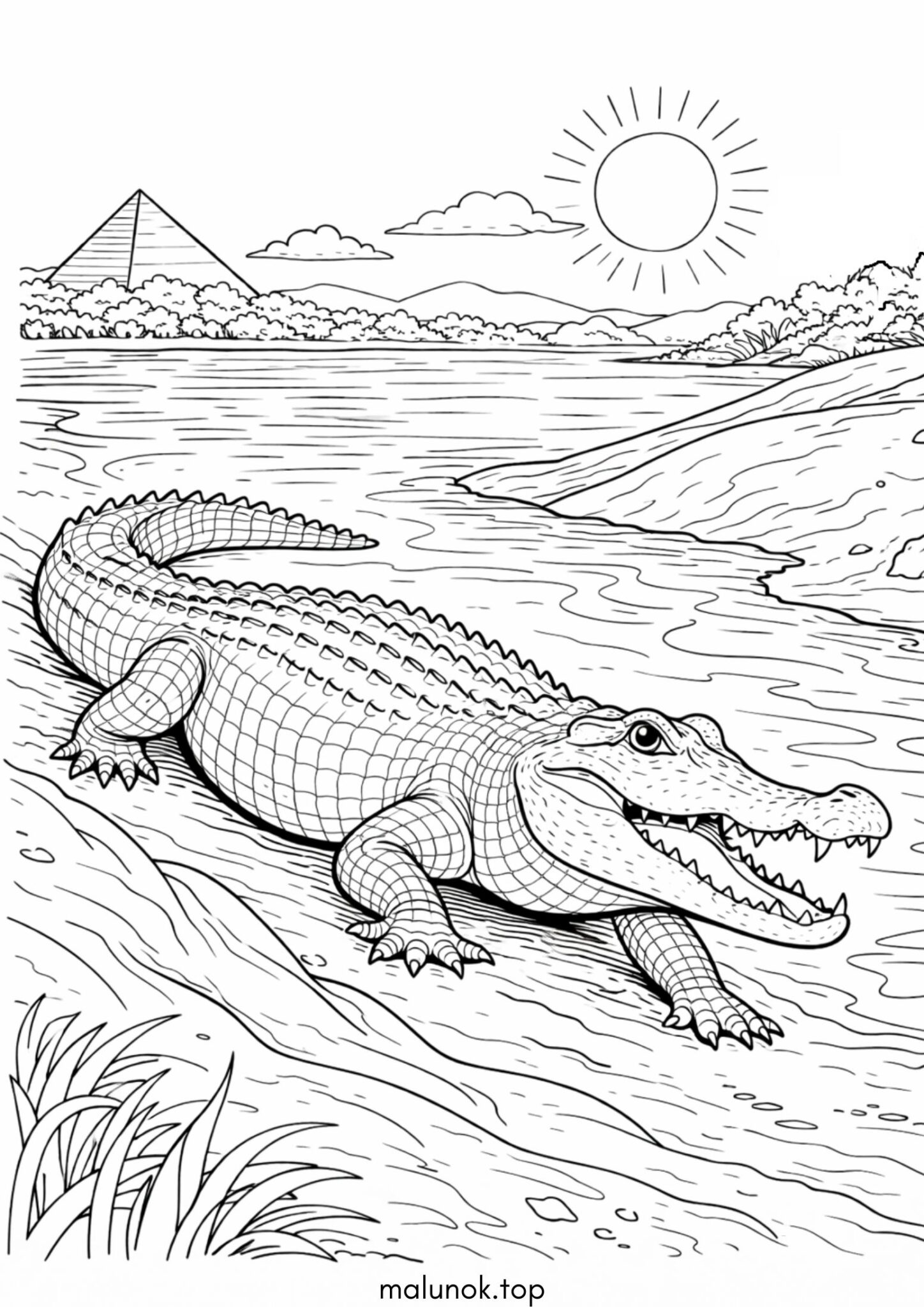 Розмальовка Нільський крокодил