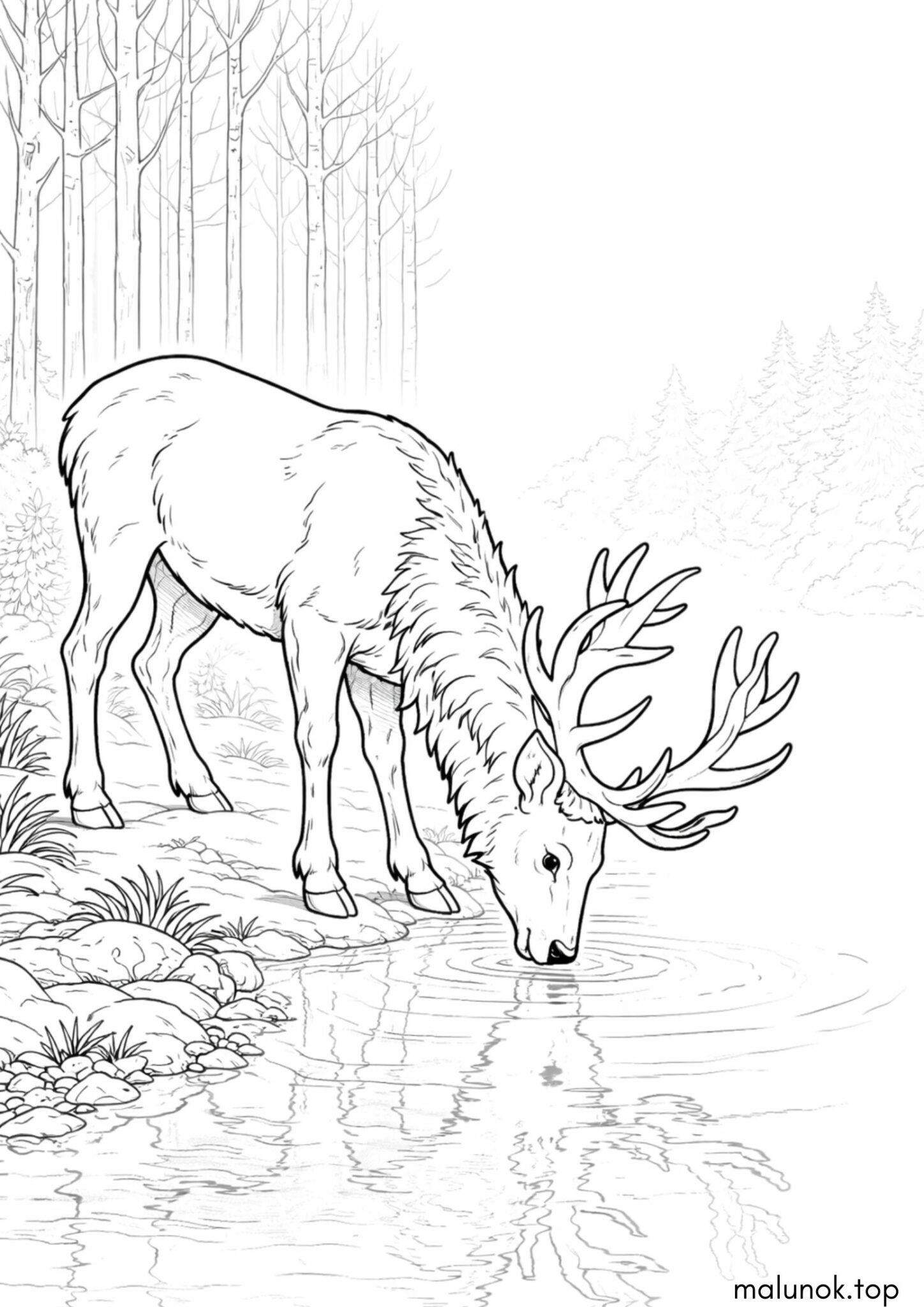 Раскраска Олень біля озера